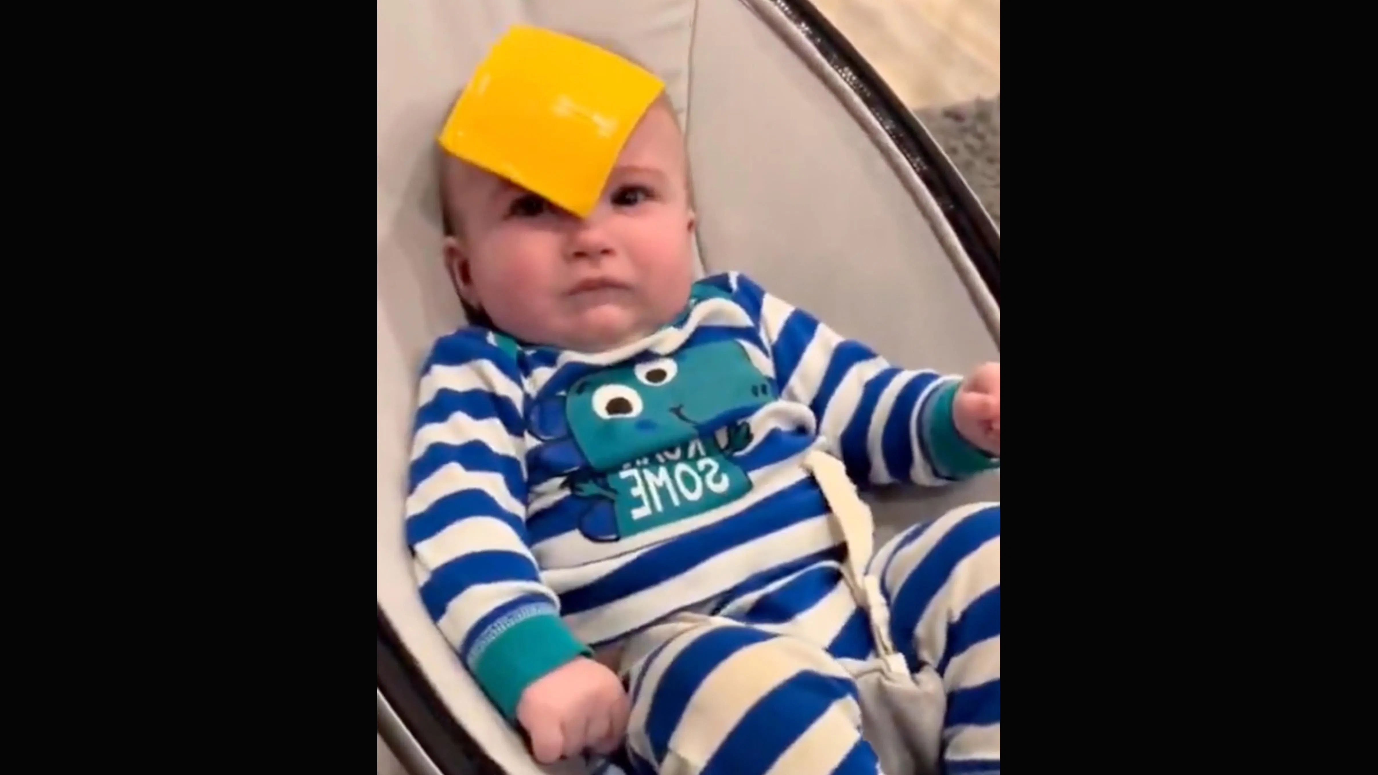 Cheese 9 4 26