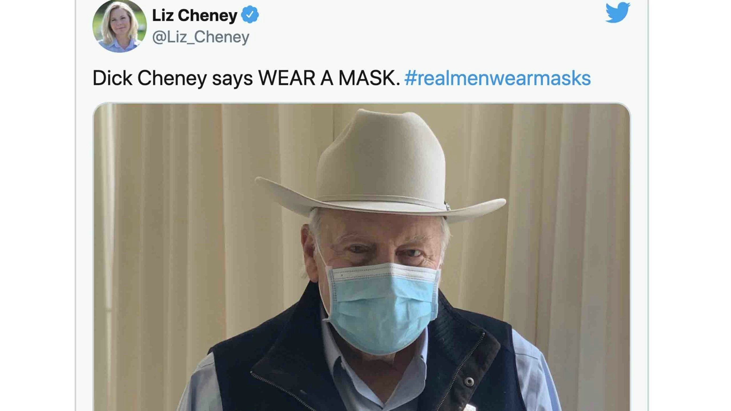 Cheney mask scaled