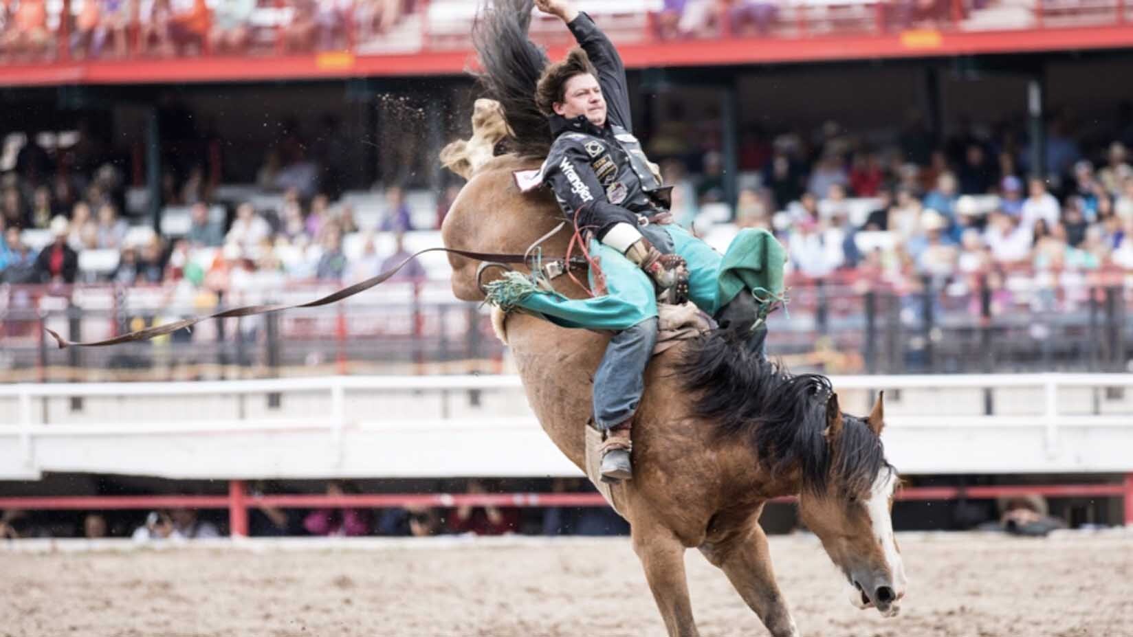 Report: 2021 Cheyenne Frontier Days Generated $40M In Spending, Mayor ...