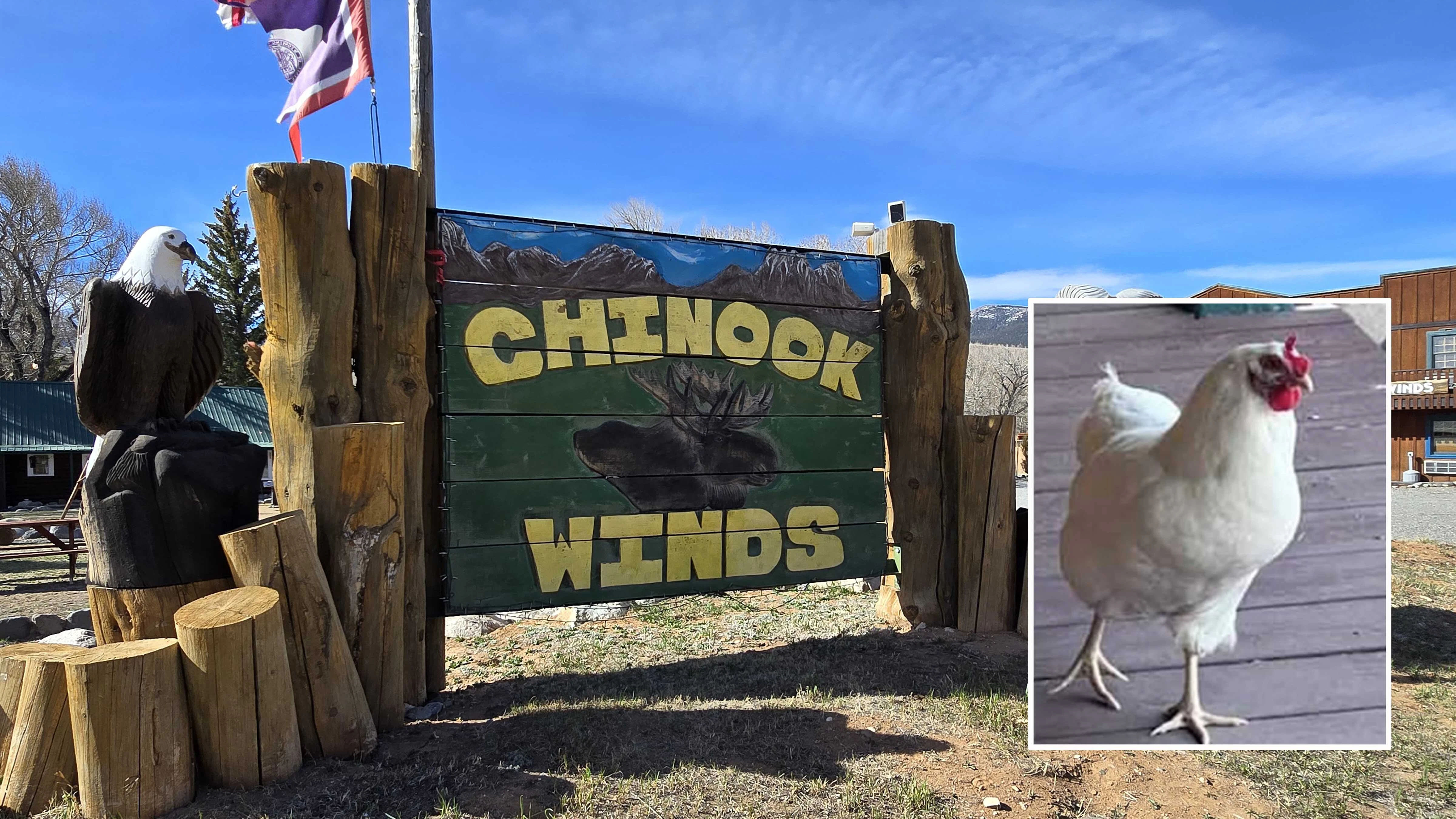 At the Chinook Winds Lodge in Dubois, guests share the motel with a flock of free-range chickens that produce eggs for the guests. “If you’ve eaten farm-fresh eggs, you know they have that beautiful yolk, and they’re very nutritious," says the owner.