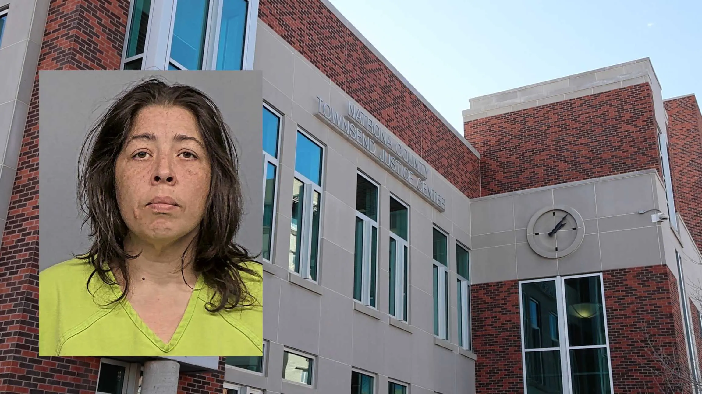 A 38-year-old New York woman pleaded guilty Tuesday to attempting to defraud a Casper bank of funds as part of a scheme at banks across the state.