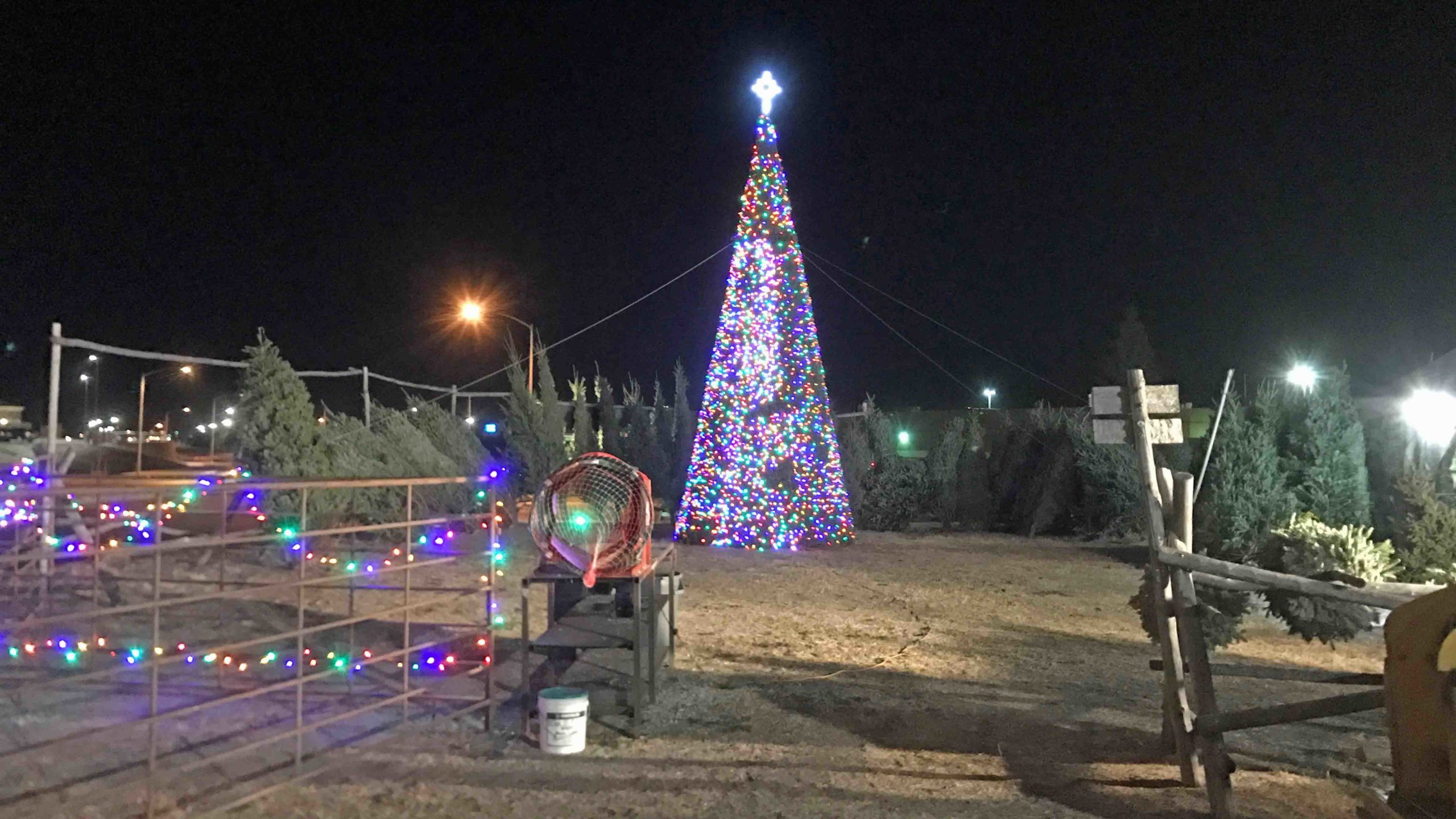 Christmas tree 10 28 21 scaled