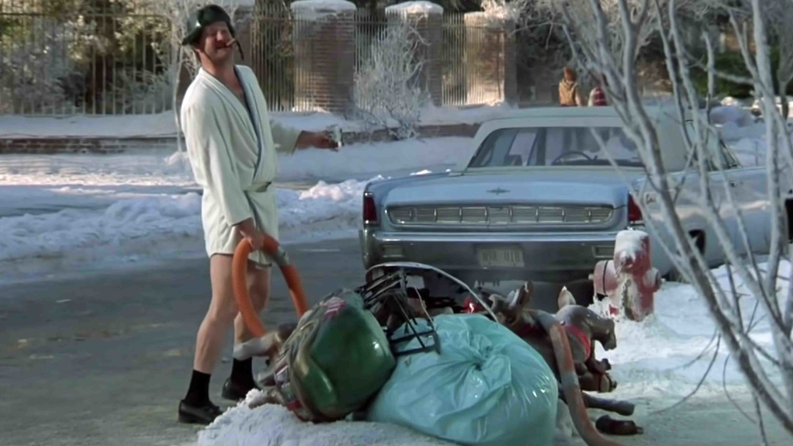 Wyoming Christmas Tree Permits Now Available On BLM Public Lands Your