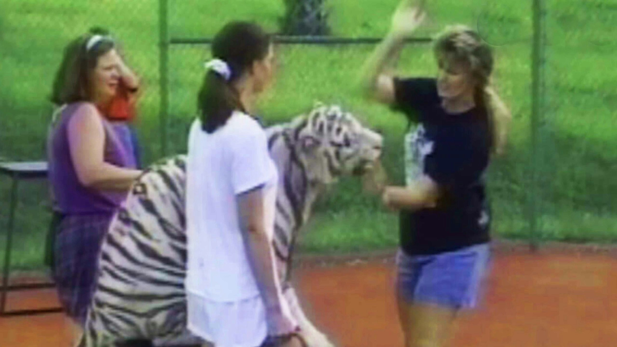 Circus abuse 6 29 22 scaled