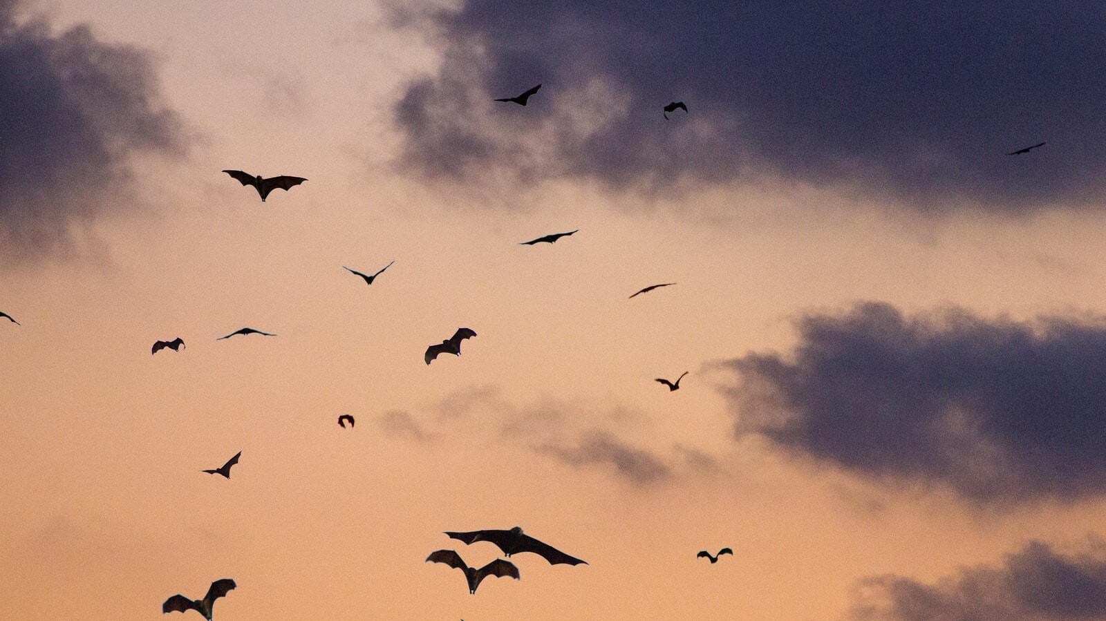 Clement falize Nlj Ty5 Y15 JM unsplash 1