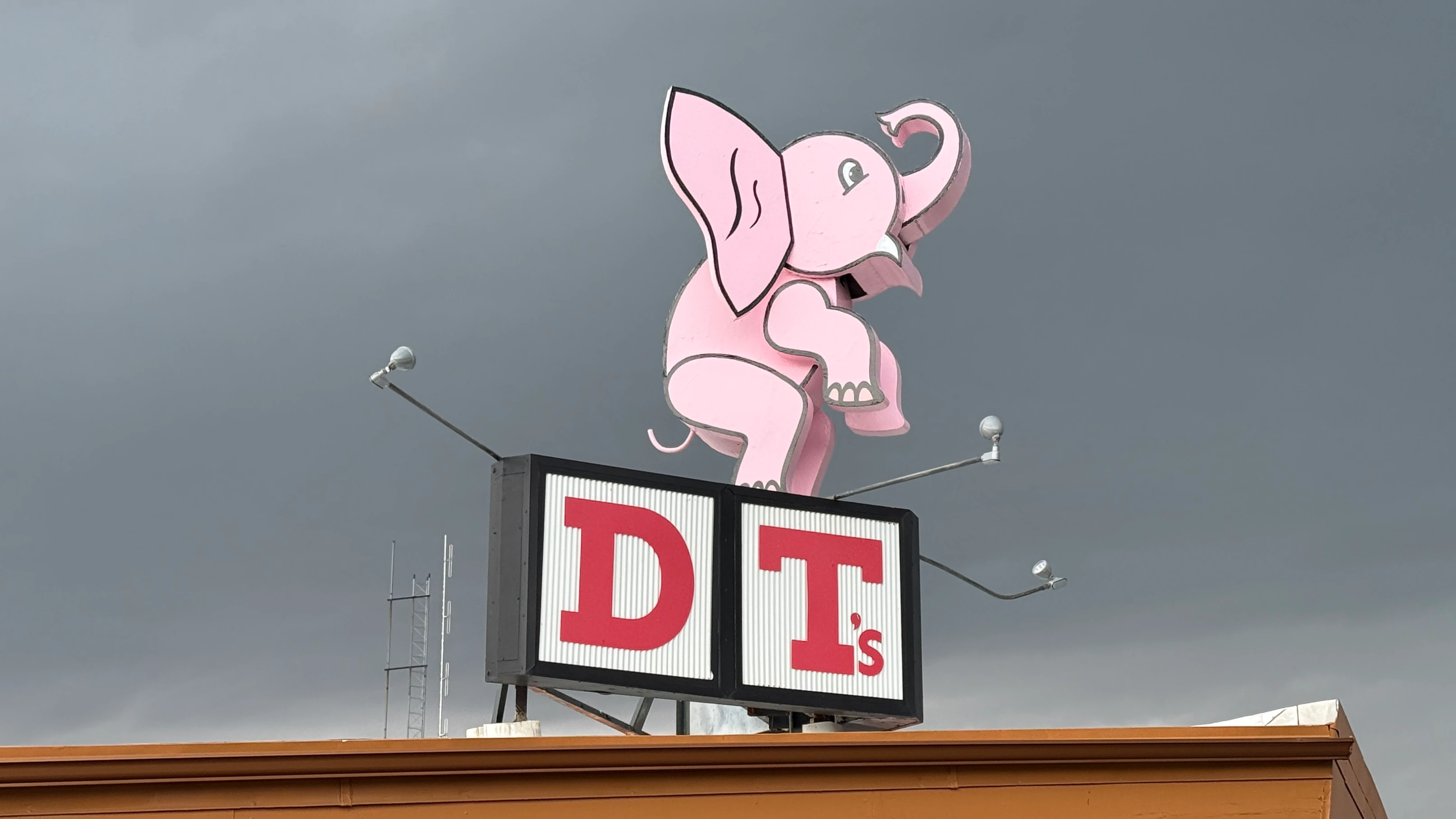 Closeup of DT's pink elephant