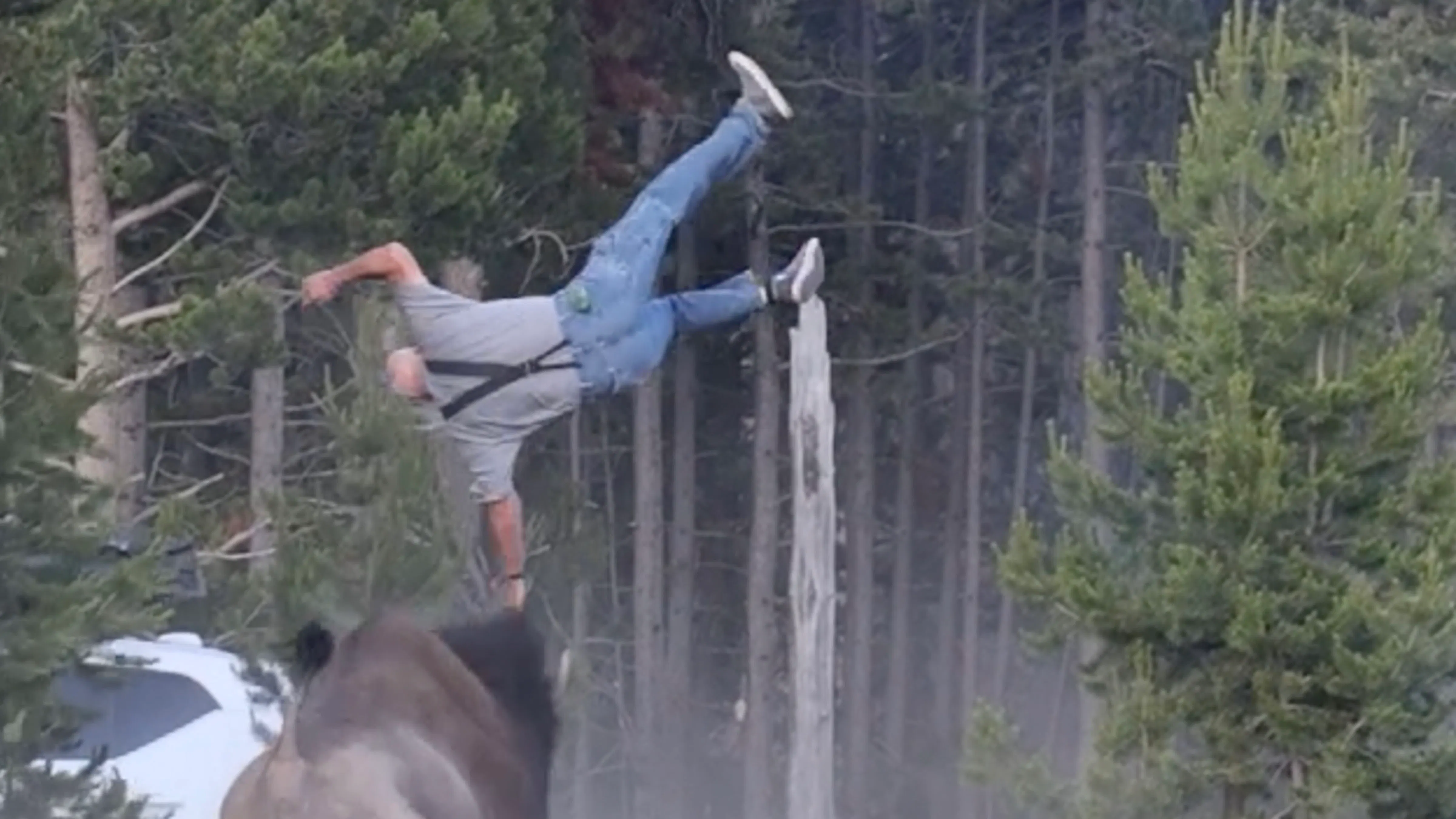 Man flipped by bison at Yellowstone's Bridge Bay Campground on Friday, July 10, 2026