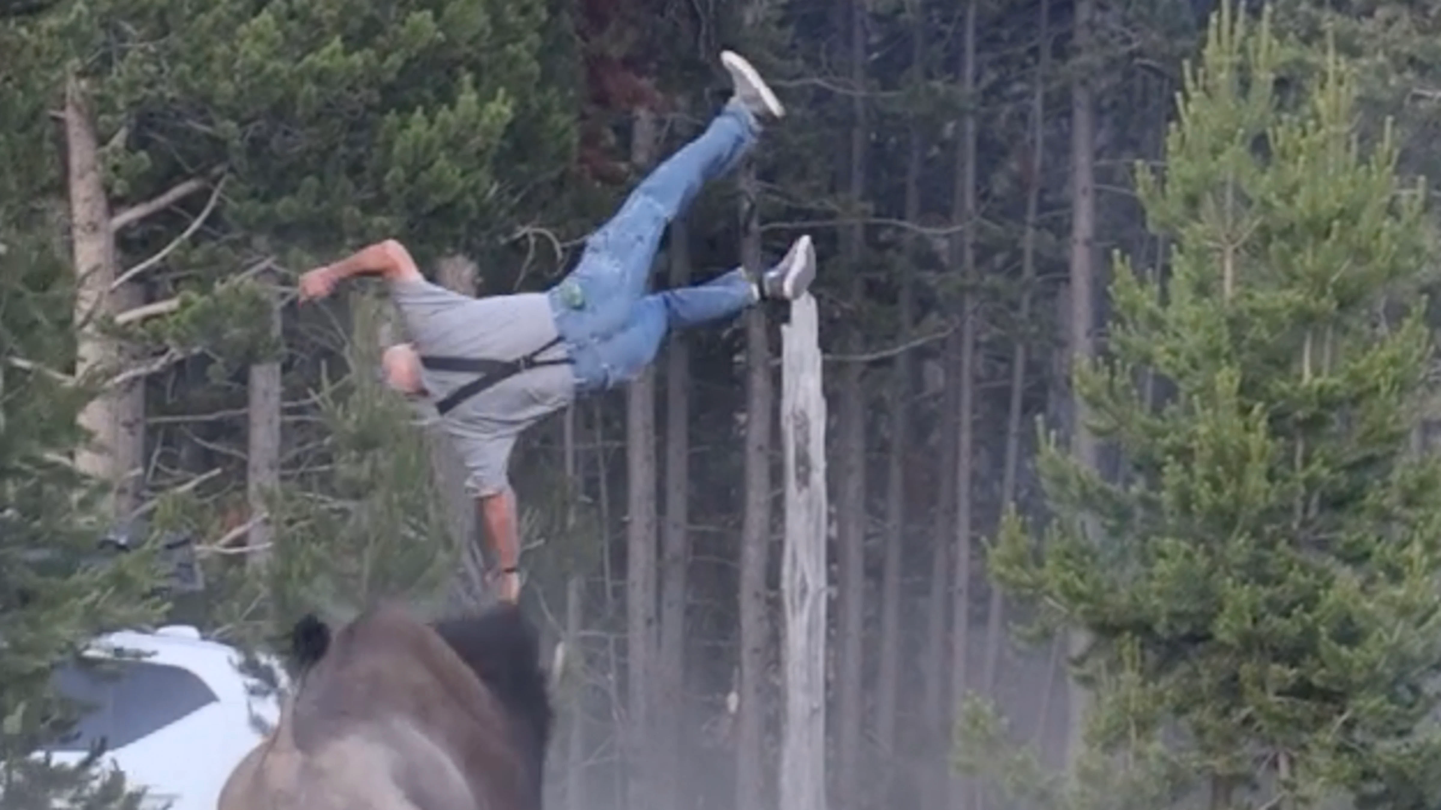 Man flipped by bison at Yellowstone's Bridge Bay Campground on Friday, July 10, 2026