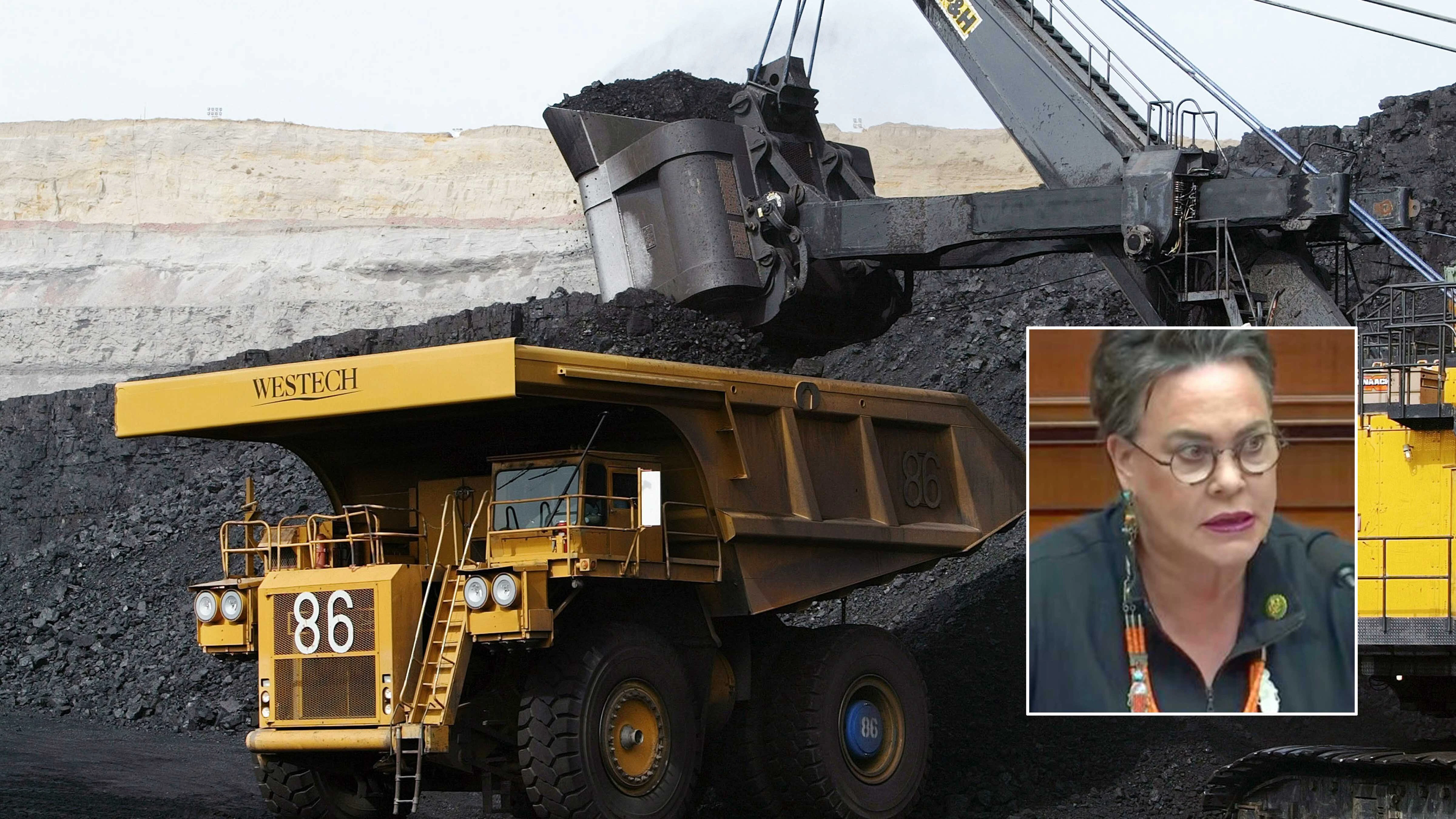 A House subcommittee heard testimony Wednesday that 14 years without new federal coal leasing has put the nation's energy supply of coal at risk. “Doing nothing on this important issue is simply not an option,” U.S. Rep. Harriet Hageman said.