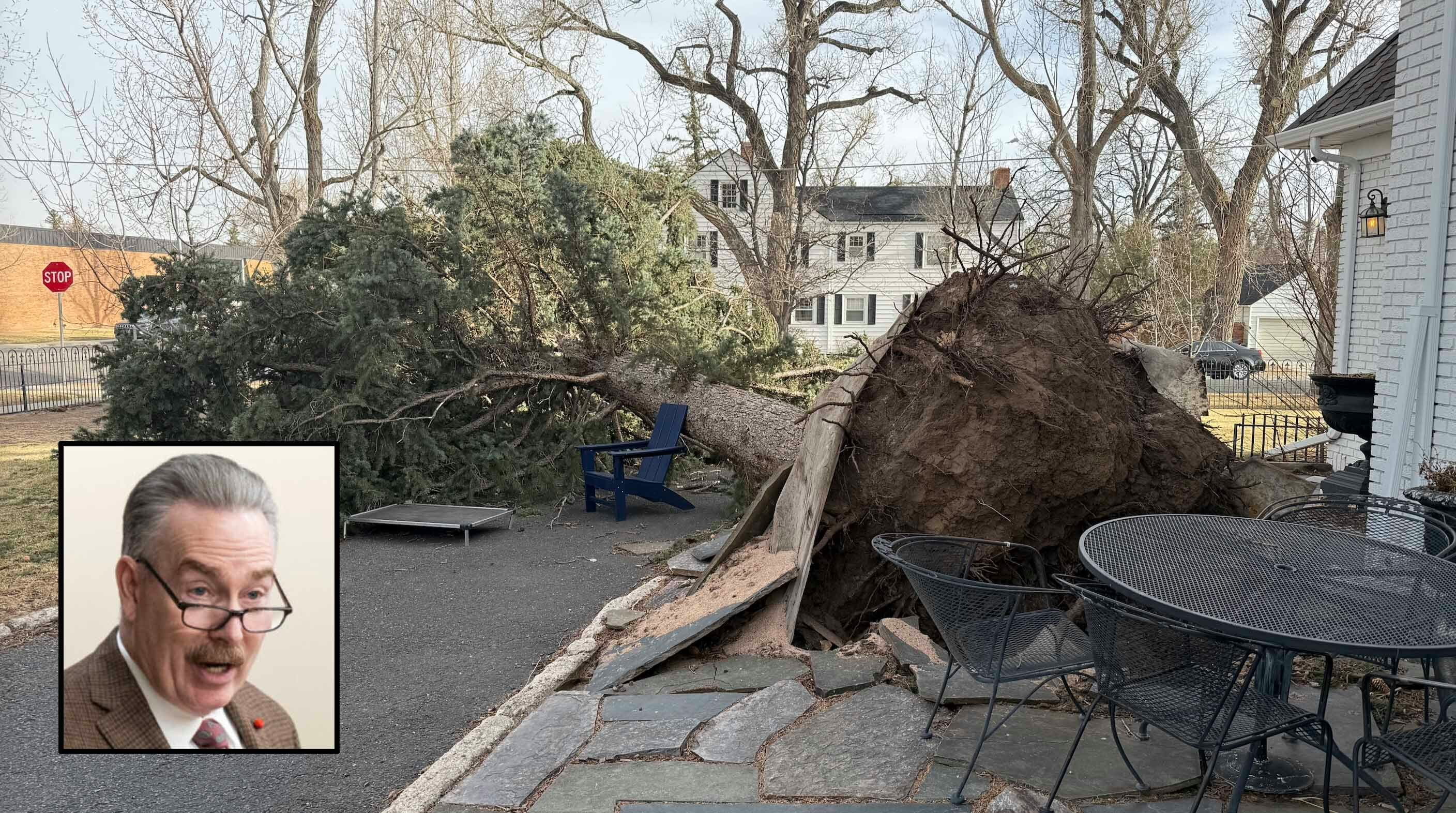 Collins downed tree 3 13 26