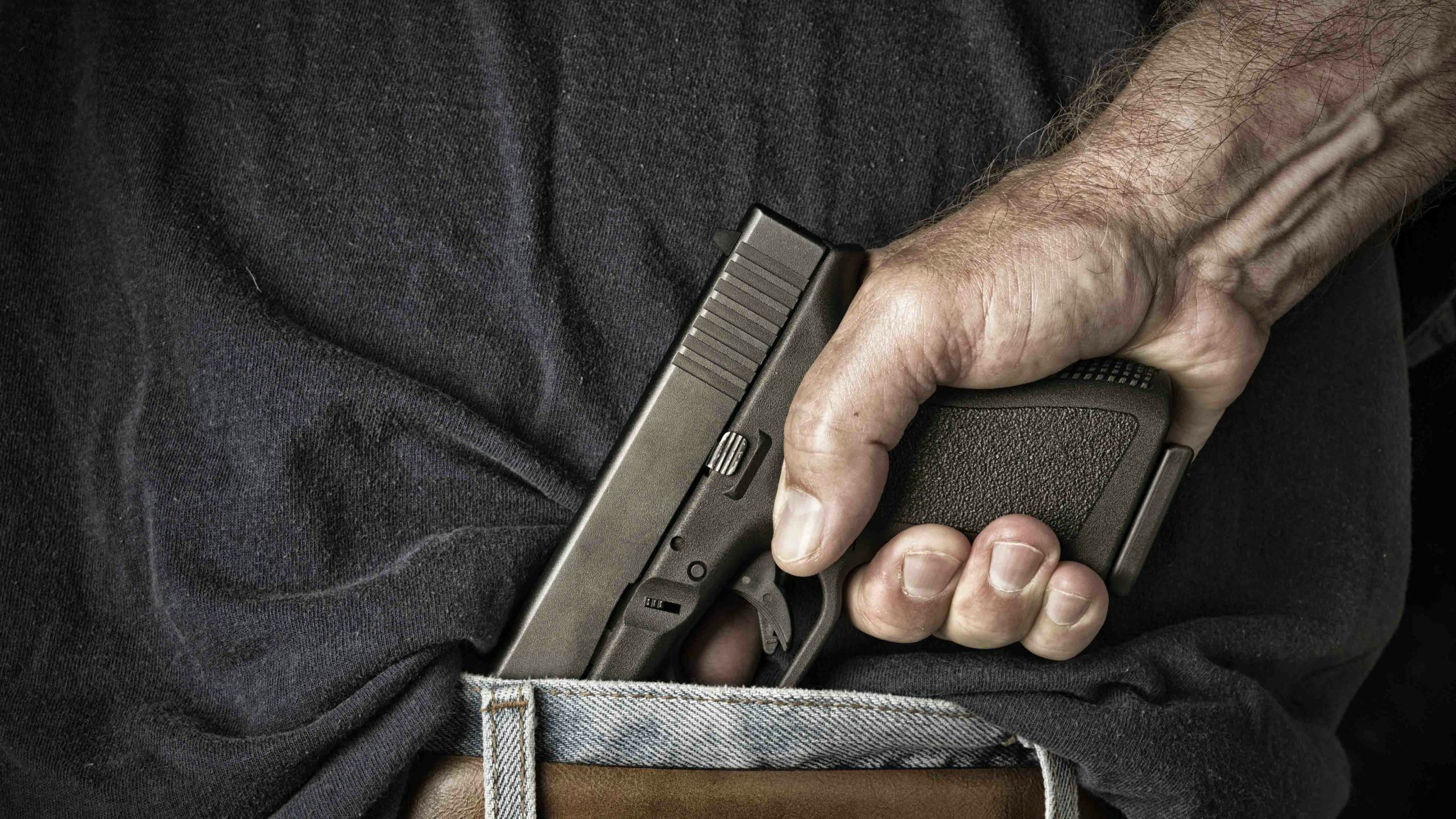 Concealed carry photo scaled