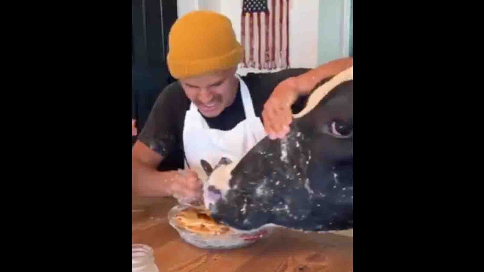 Cooking with cows 3 14 25