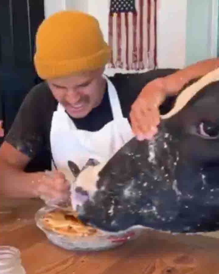 Cooking with cows 3 14 25