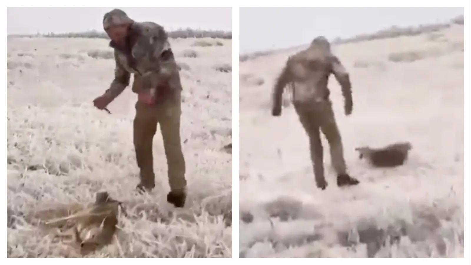 The Wyoming Game and Fish Department is investigating a graphic video where an alleged Wyoming man tortures a seemingly wounded coyote. The video shows a man grabbing the coyote by its tail and then tossing, kicking, stabbing, and taunting the animal.
