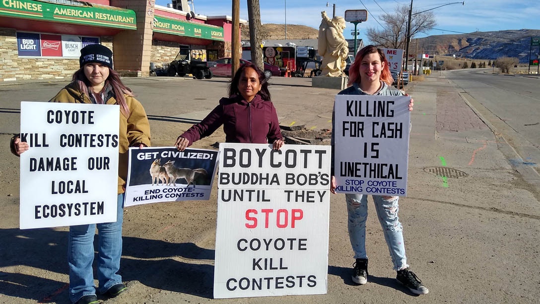 Coyote killing contest 2 1 22