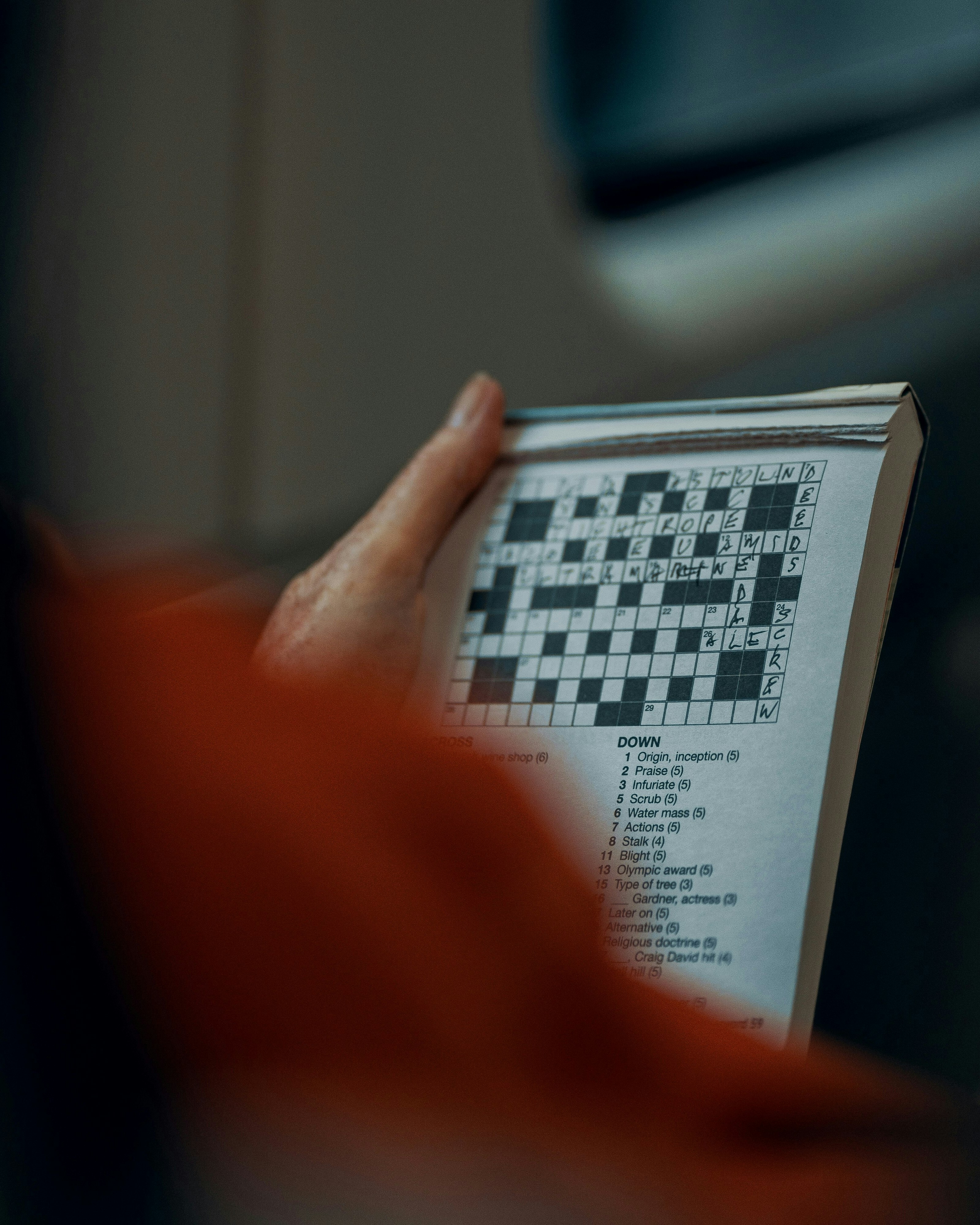 Crossword 4