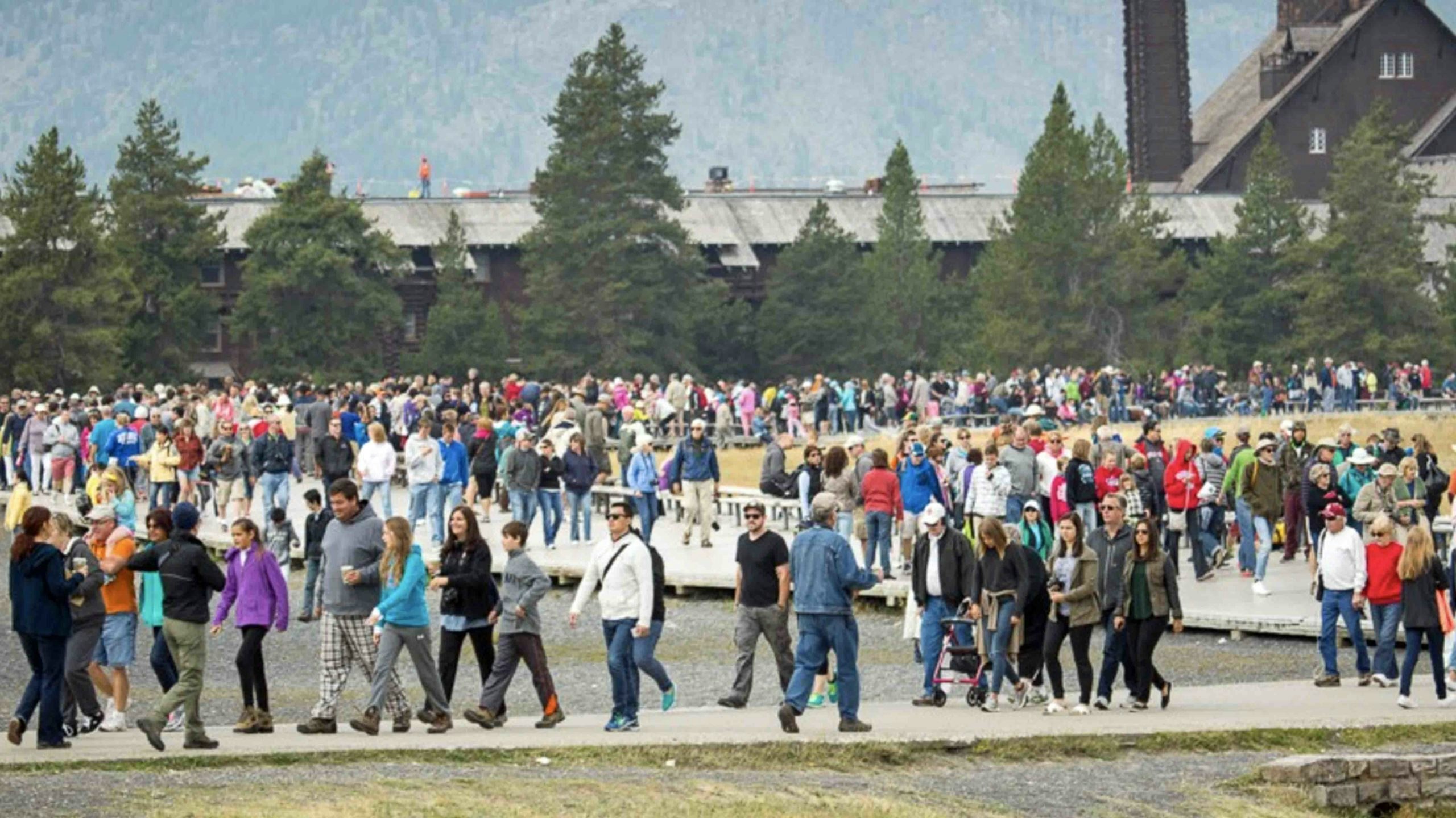 Crowded yellowstone 2 21 22 scaled