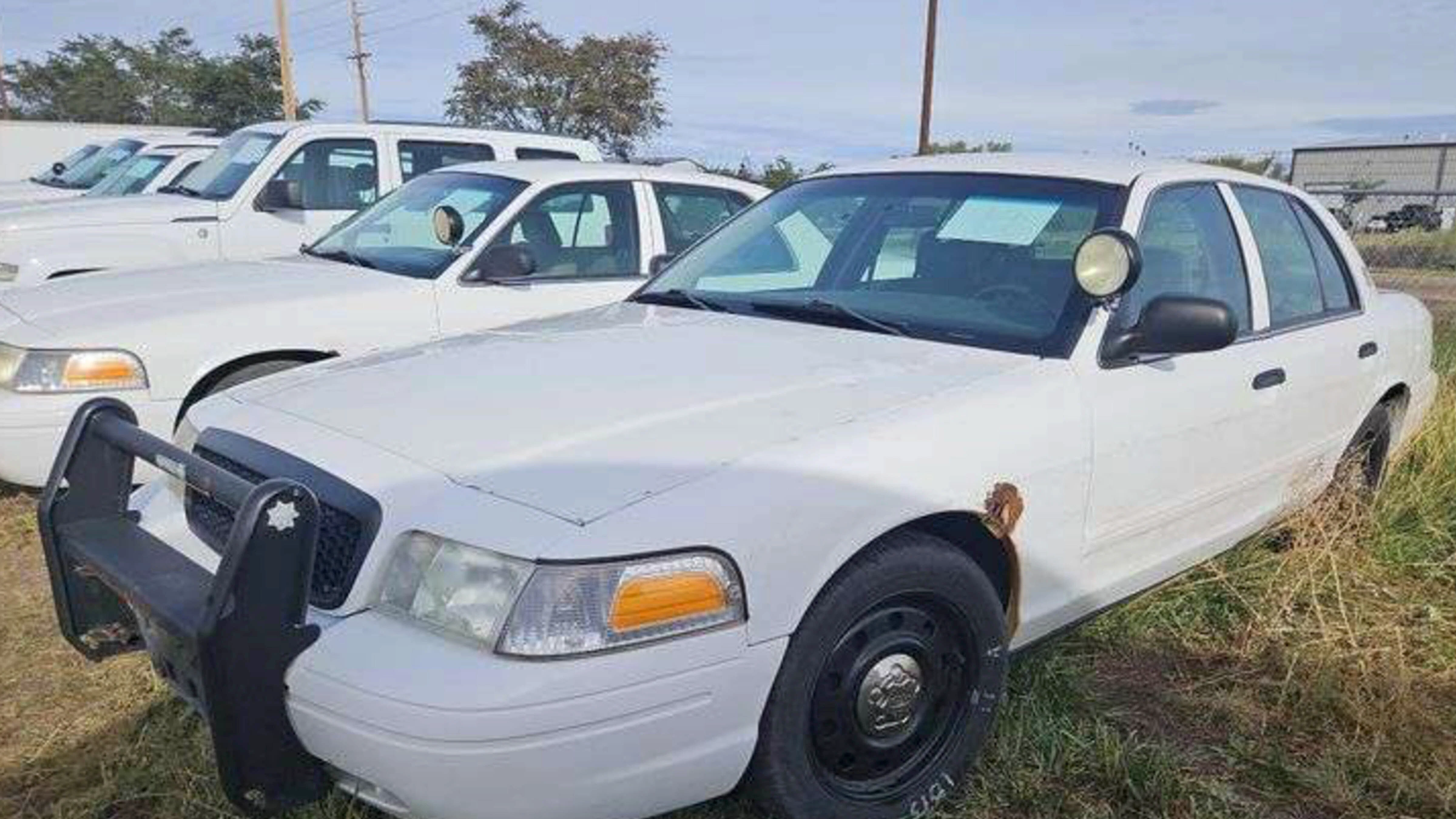 A 2009, 2010 and baby-blue 2011 Ford Crown Victoria Police Interceptor were among the former city fleet vehicles Cheyenne sold at its annual surplus auction this month. The three old cop cars have between 92,000 and 112,000 miles.