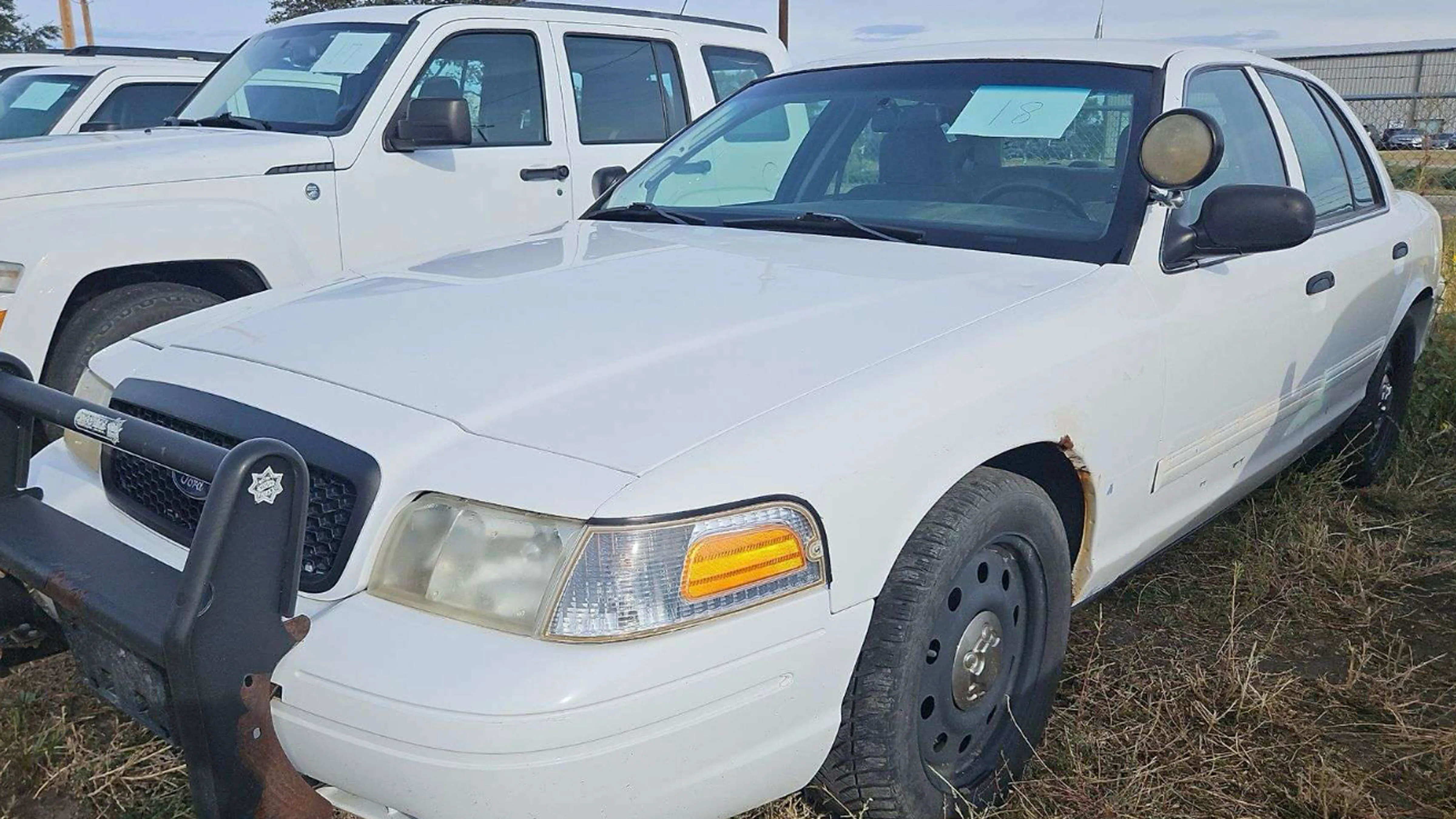 A 2009, 2010 and baby-blue 2011 Ford Crown Victoria Police Interceptor were among the former city fleet vehicles Cheyenne sold at its annual surplus auction this month. The three old cop cars have between 92,000 and 112,000 miles.