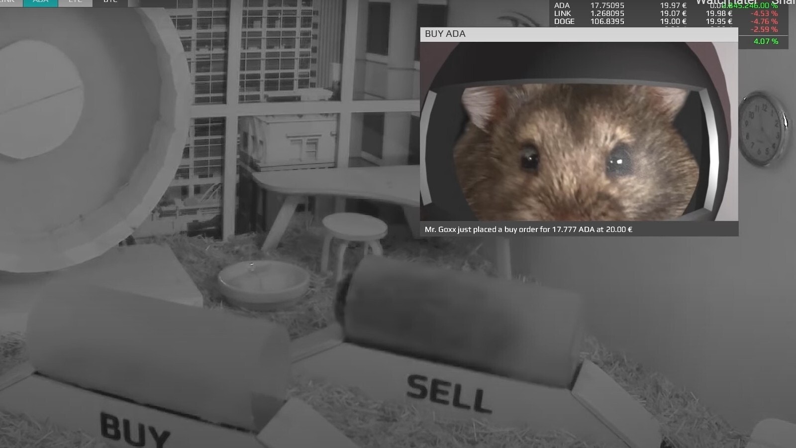 Crypto hamster
