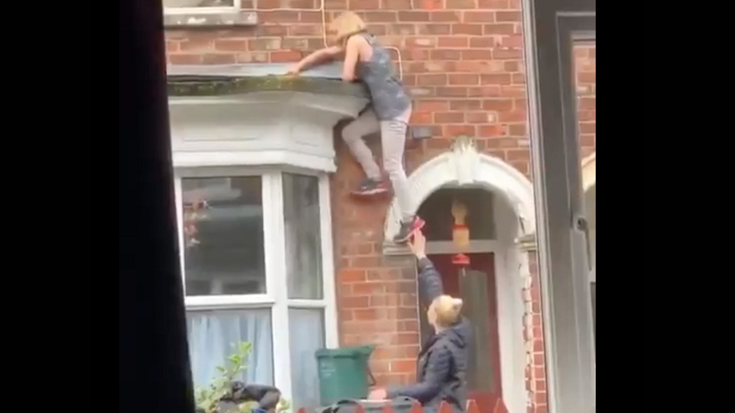 Daily darwin 1 4 23 scaled