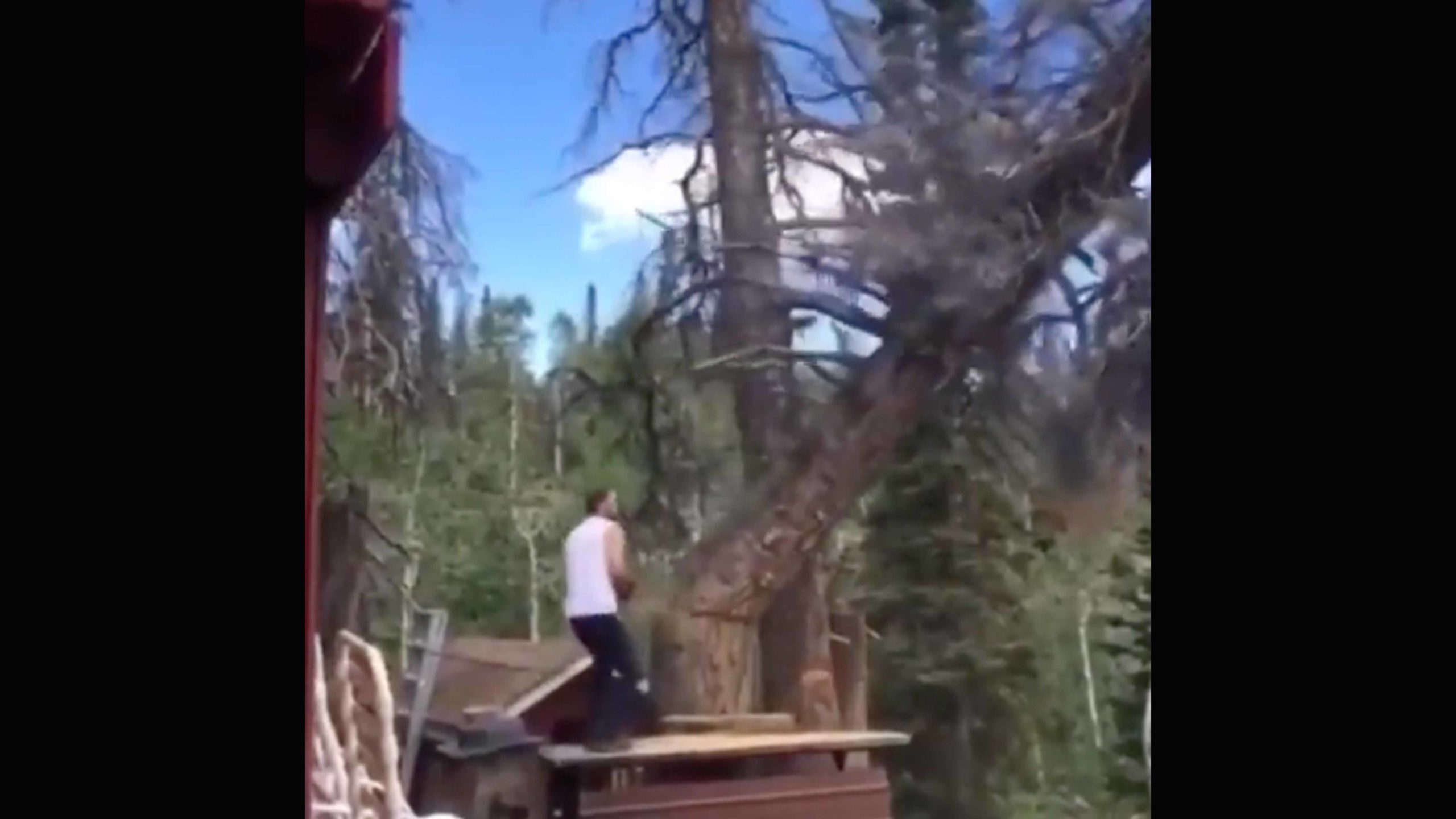 Daily darwin 1 5 23 scaled