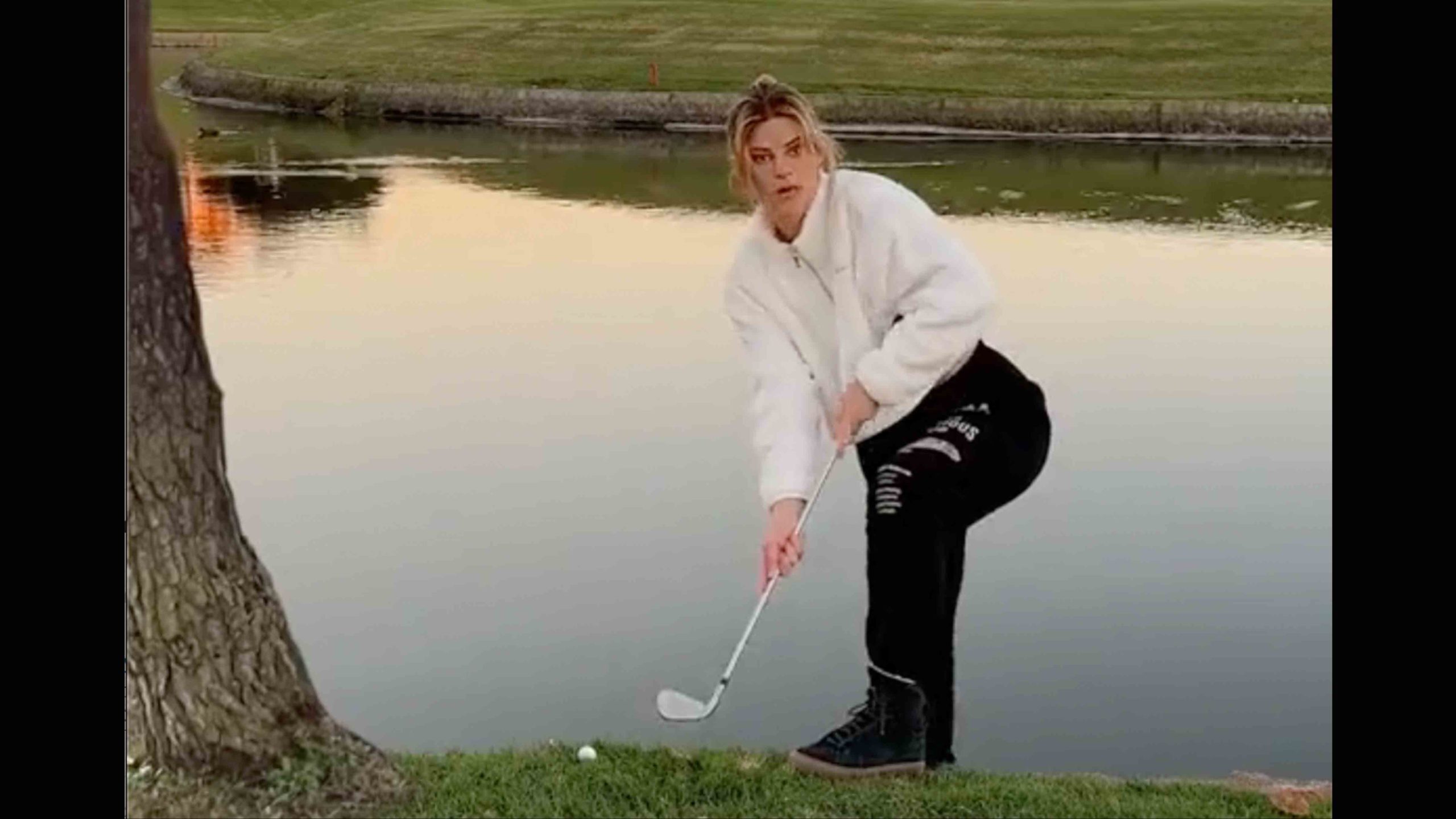 Daily darwin 11 21 22 scaled