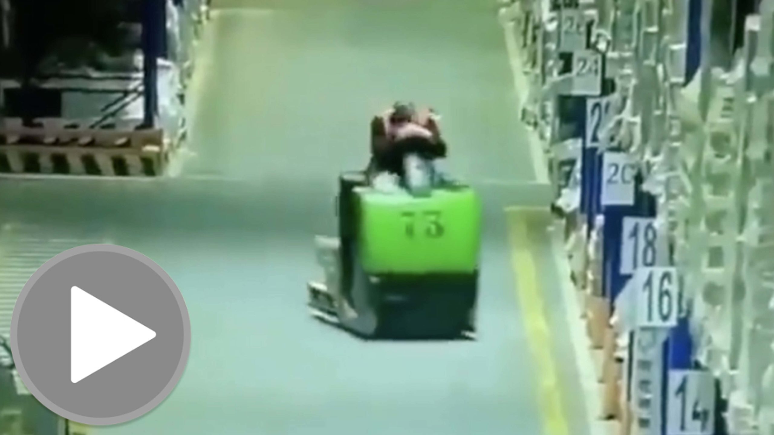 Daily darwin 9 14 22 scaled