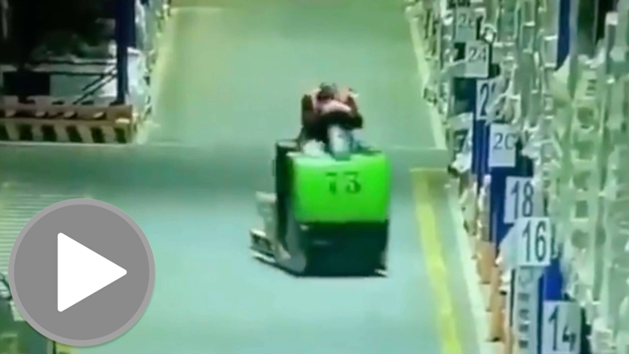 Daily darwin 9 14 22 scaled