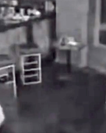 Daily darwin no play 9 20 22