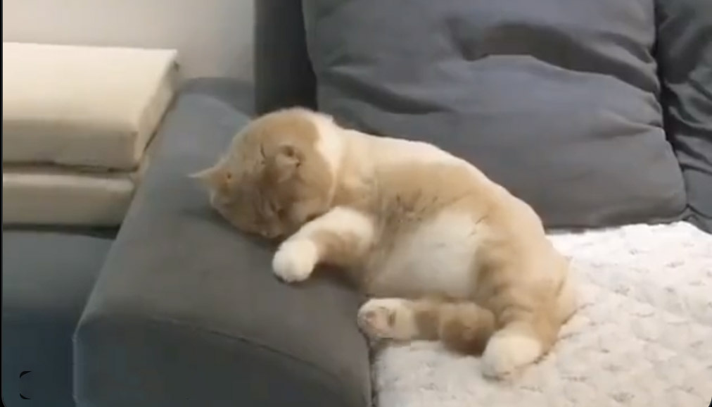 Daily smile 1 11 21 22