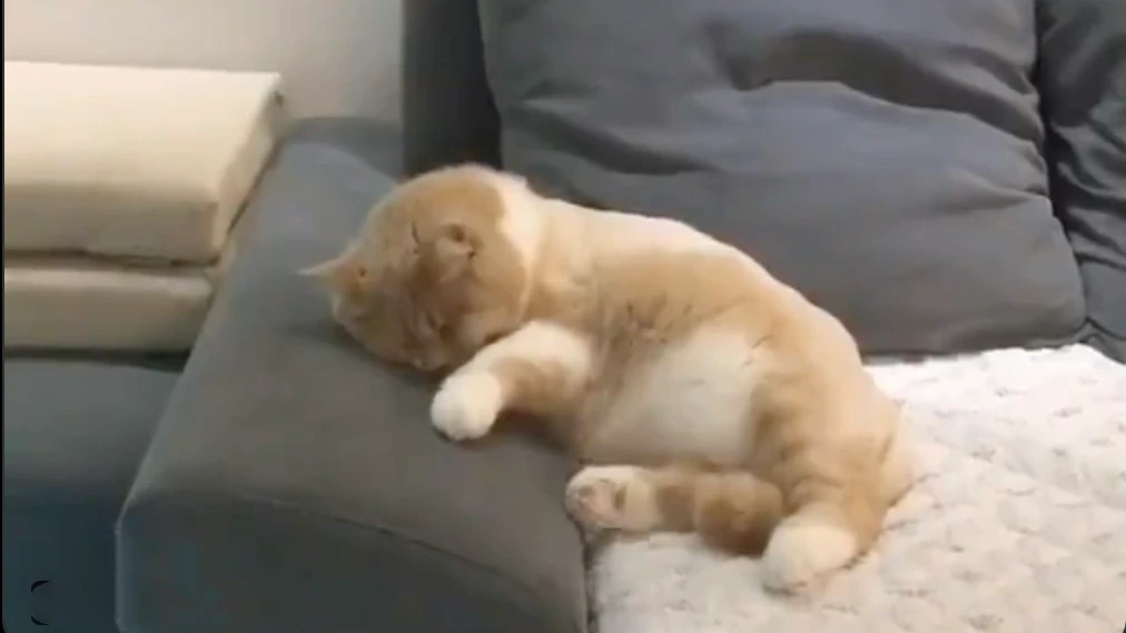 Daily smile 1 11 21 22