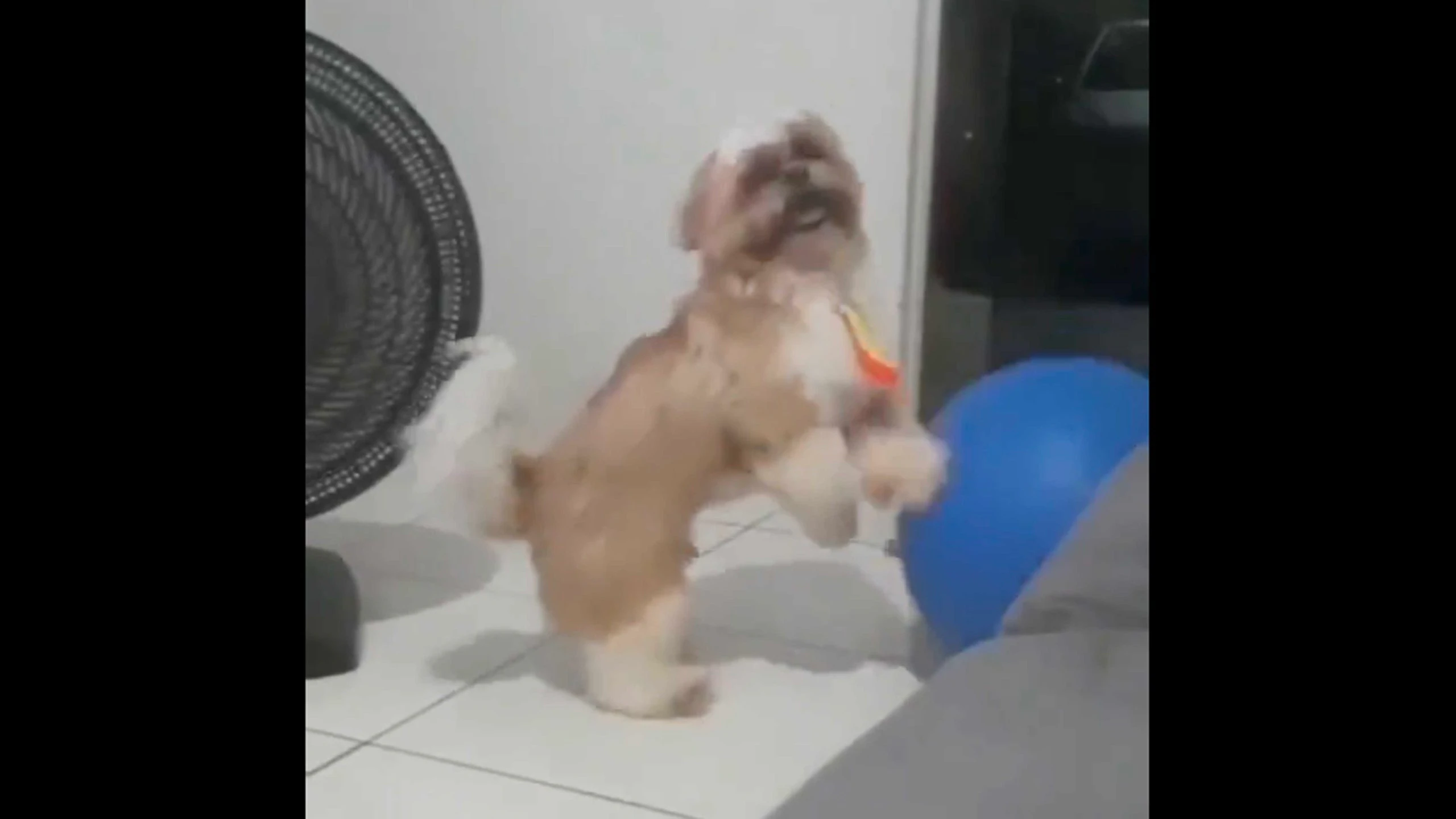 Daily smile 1 18 23 scaled