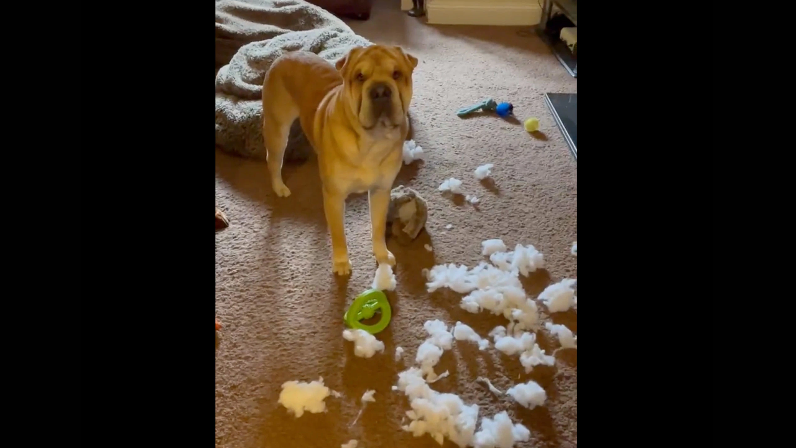 Daily smile 1 19 23 scaled