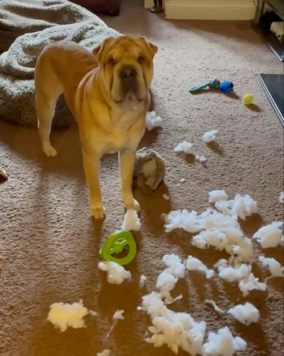 Daily smile 1 19 23 scaled