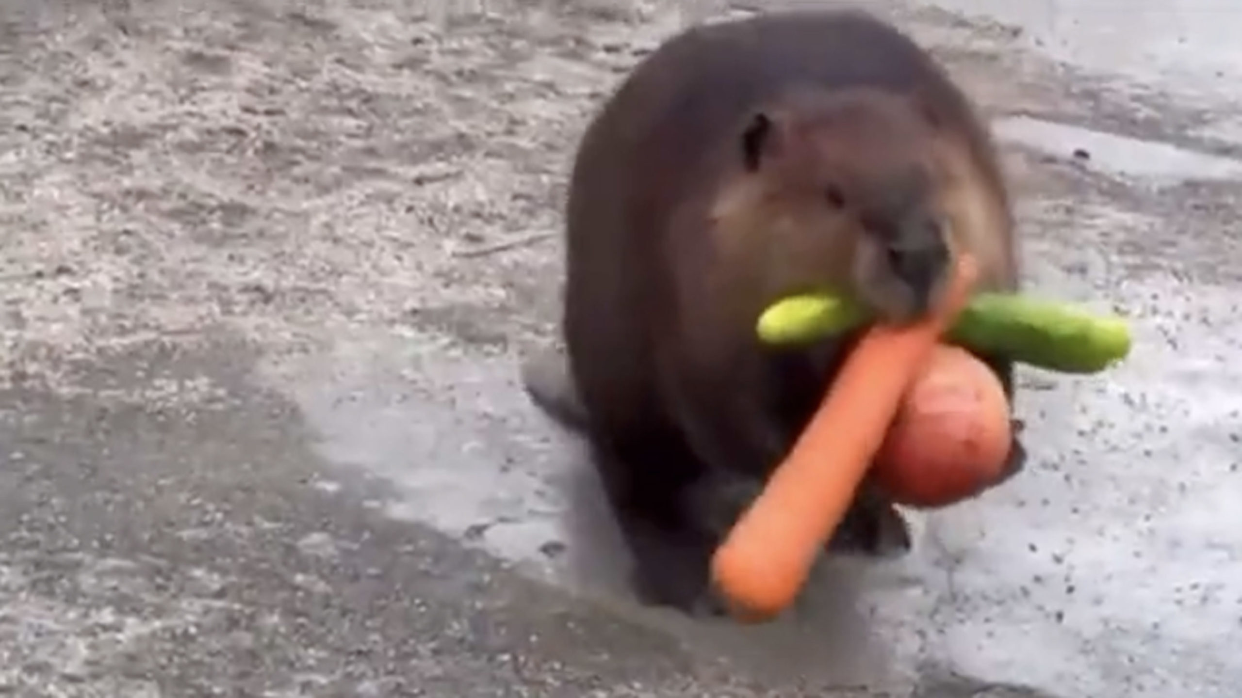 Daily smile 10 15 22 no play scaled