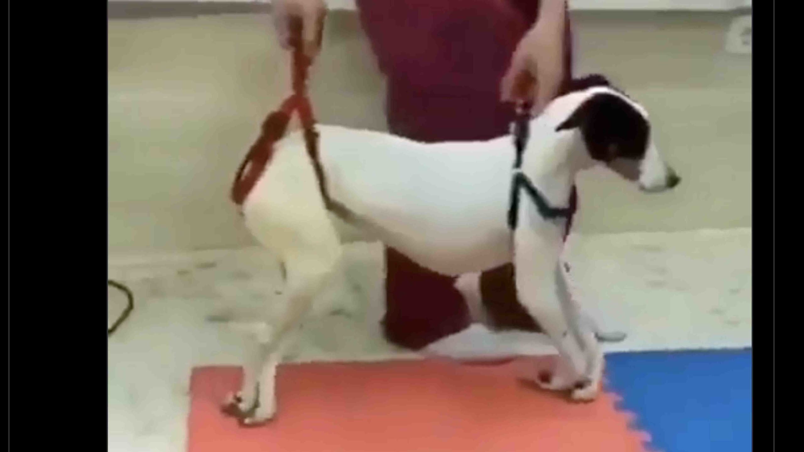 Daily smile 10 19 22 no play scaled