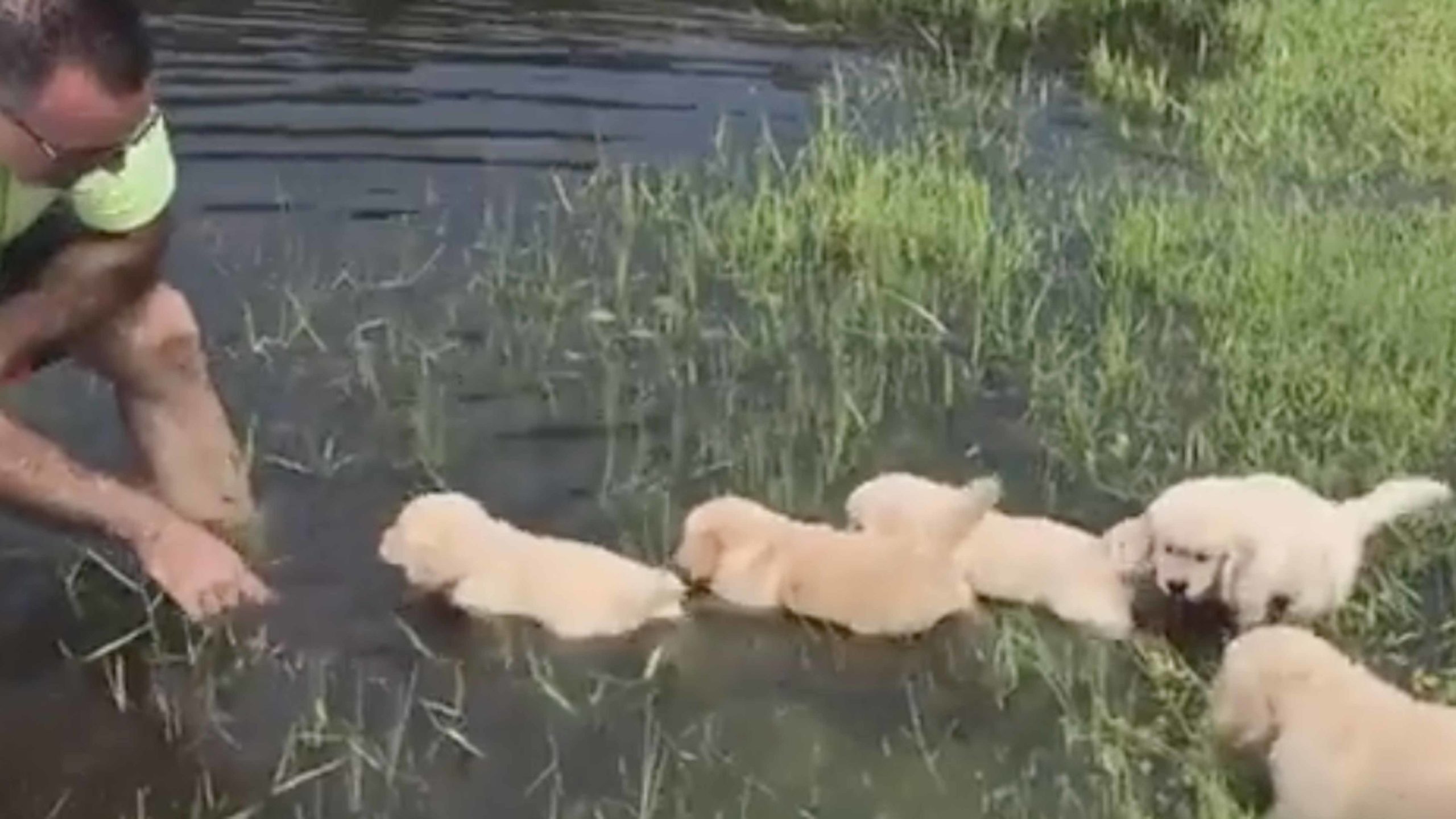 Daily smile 10 21 22 no play scaled