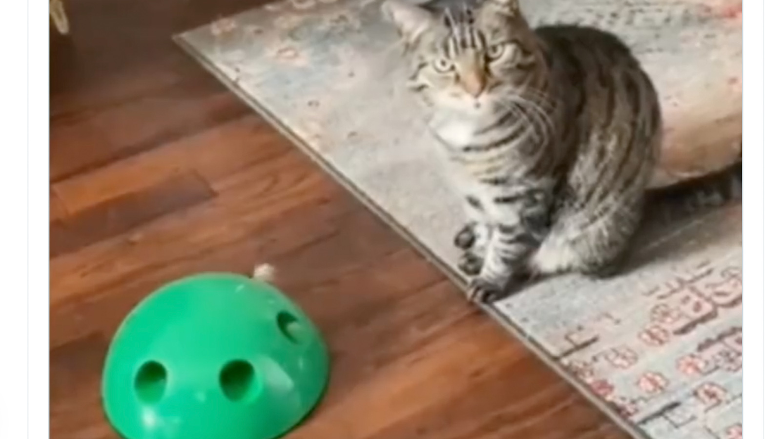 Daily smile 10 4 22 no play