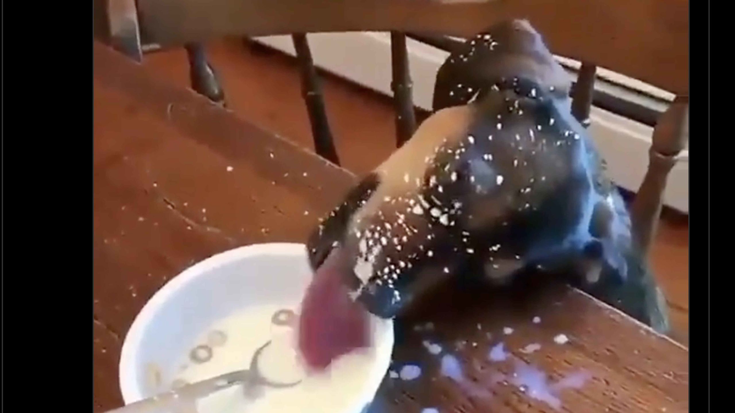 Daily smile 10 7 22 no play scaled