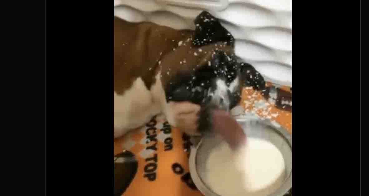 Daily smile 11 13 22