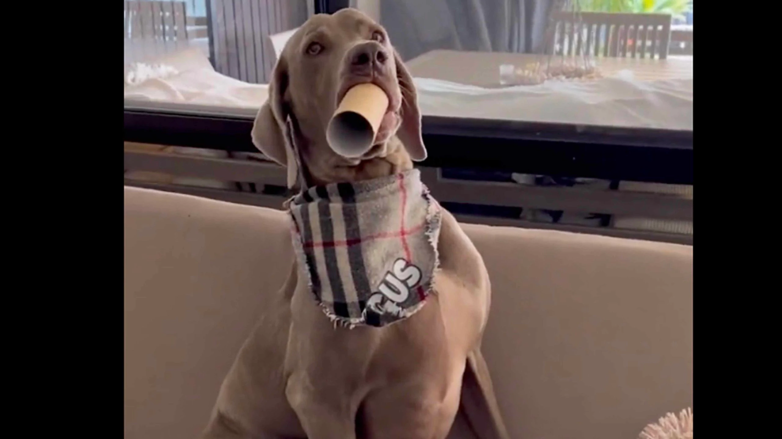 Daily smile 11 14 22 scaled