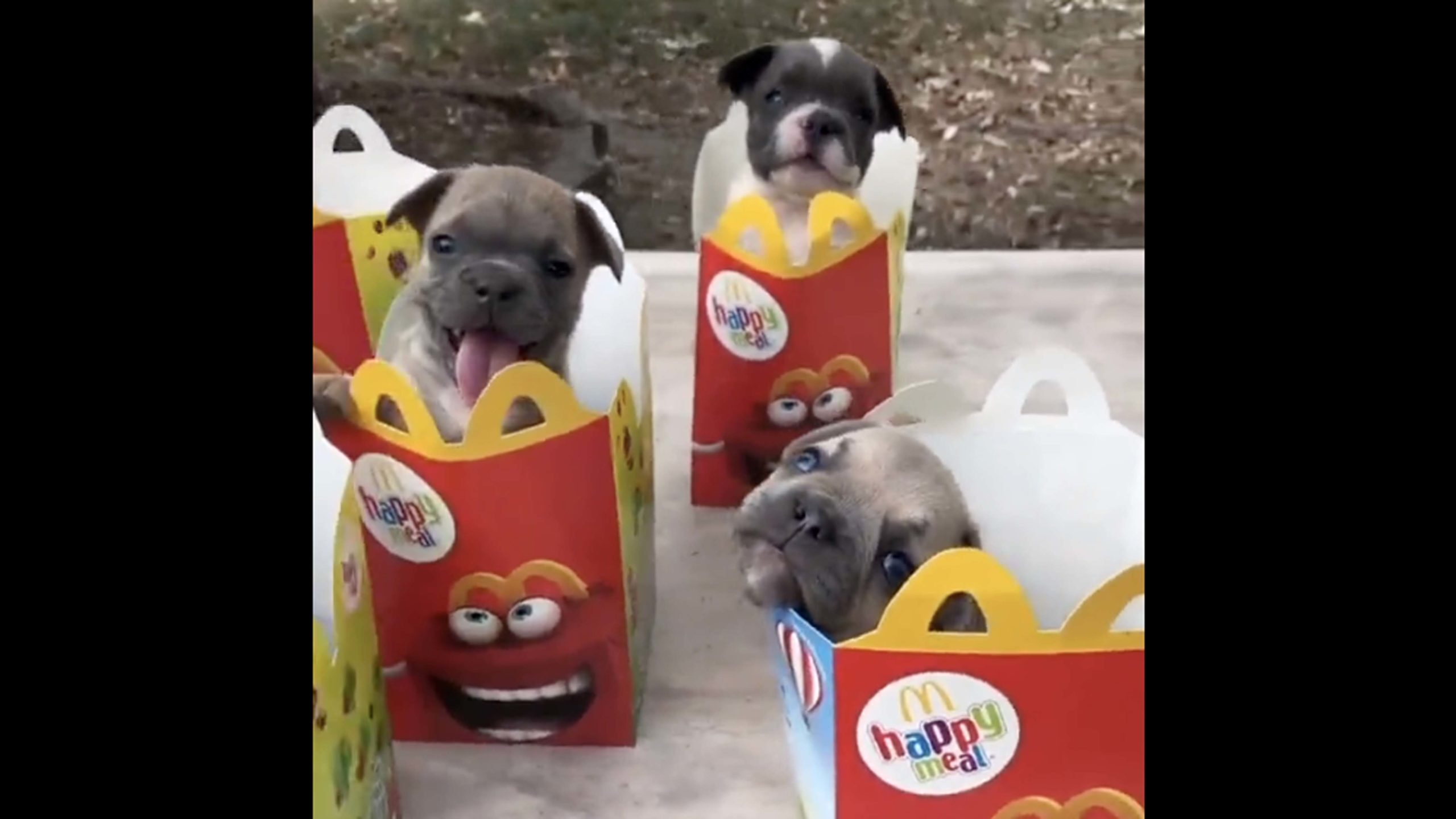 Daily smile 11 15 22 scaled