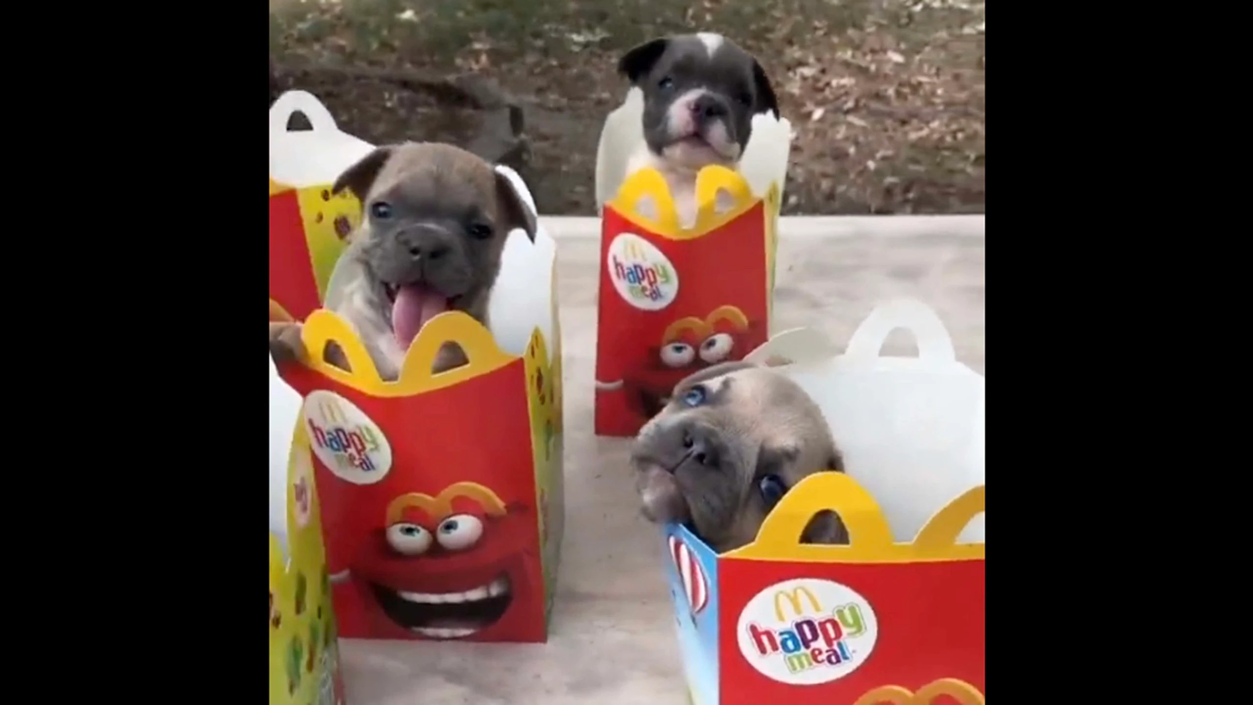 Daily smile 11 15 22 scaled