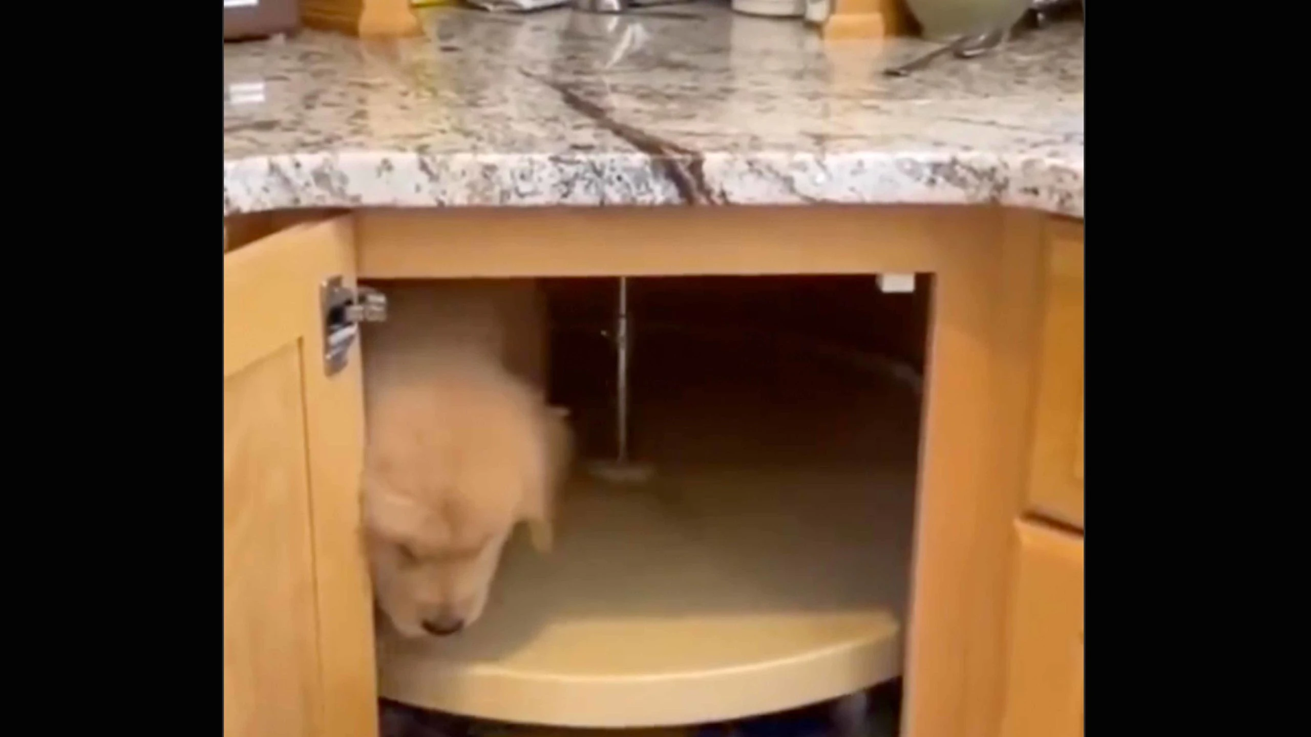 Daily smile 11 16 22 scaled