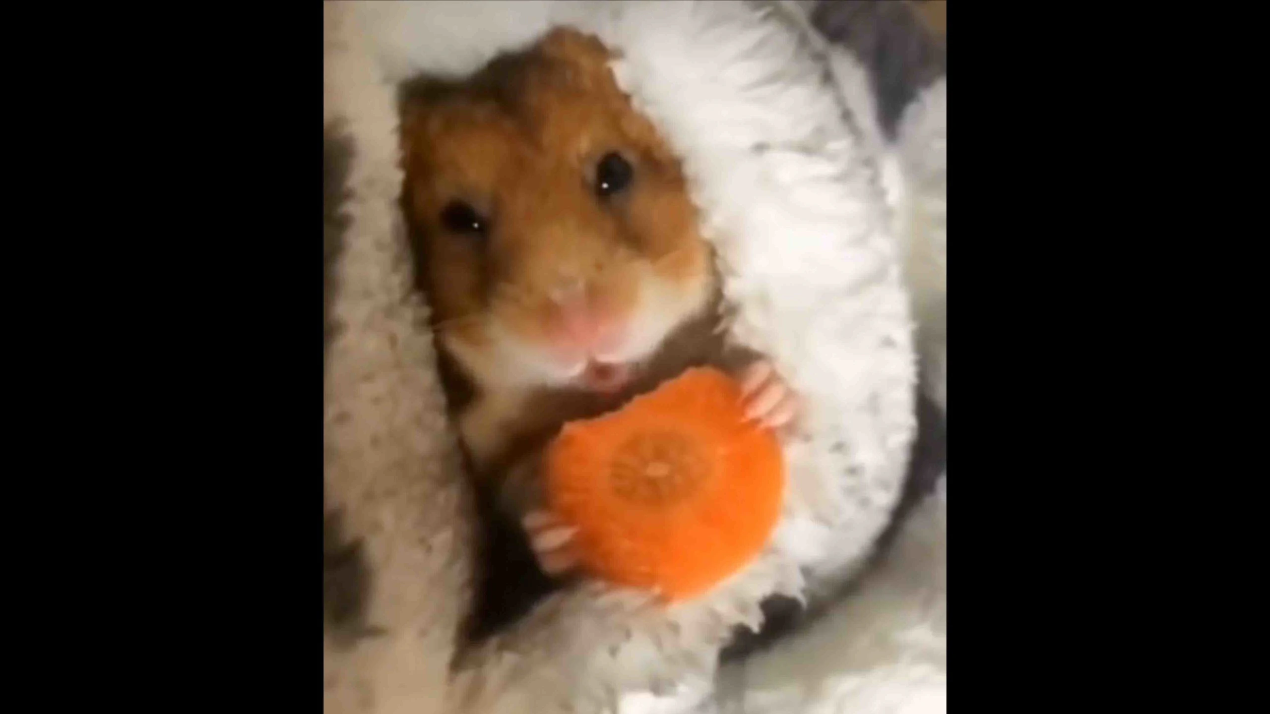 Daily smile 11 18 22 scaled