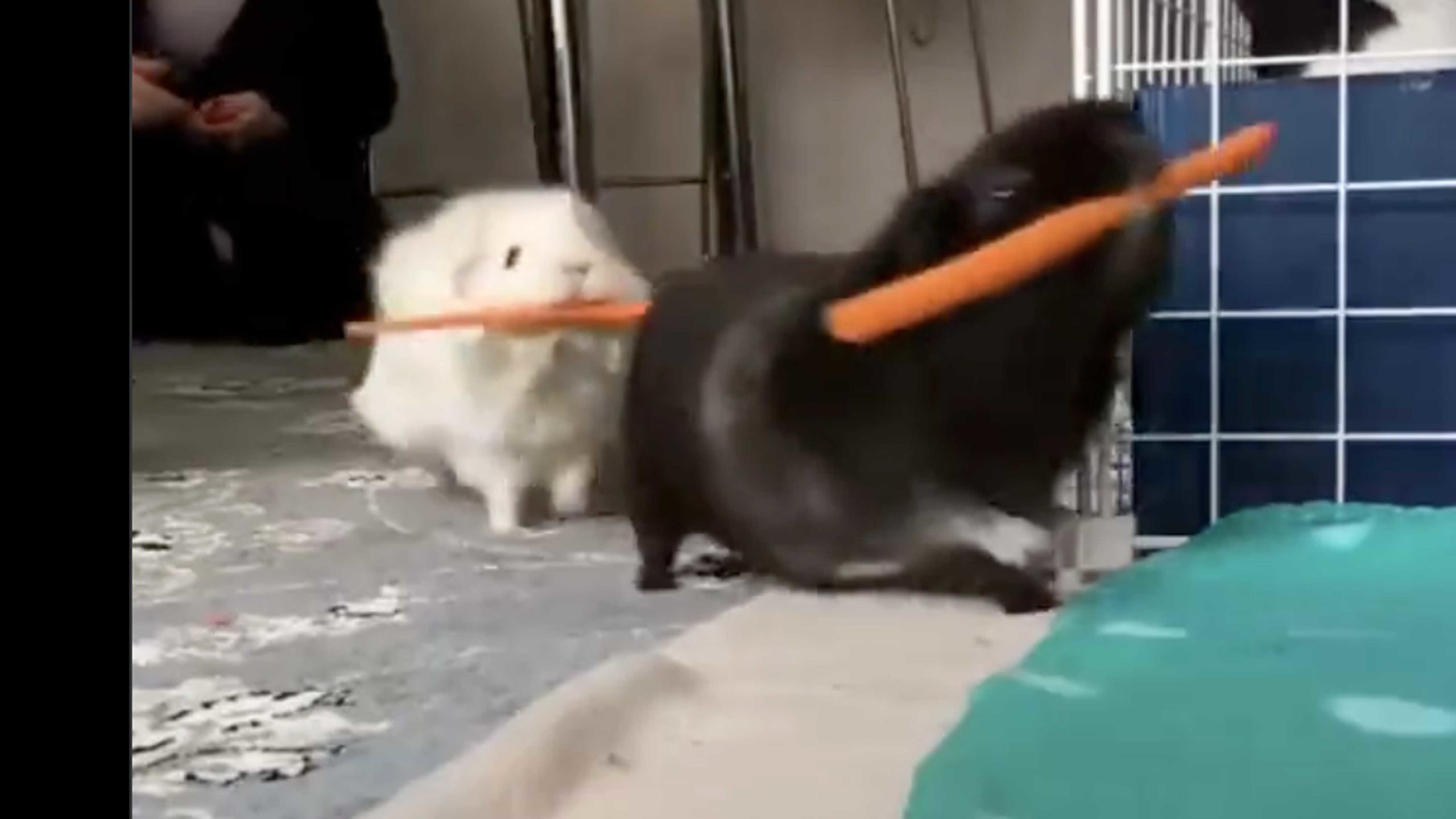 Daily smile 11 22 22 no play scaled