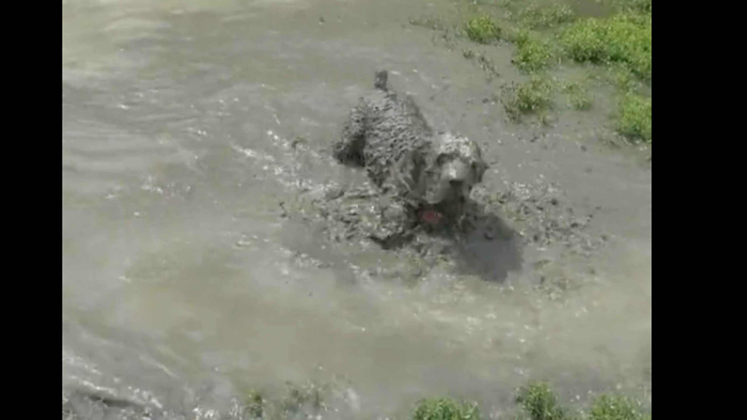 Daily smile 11 24 22 no play scaled