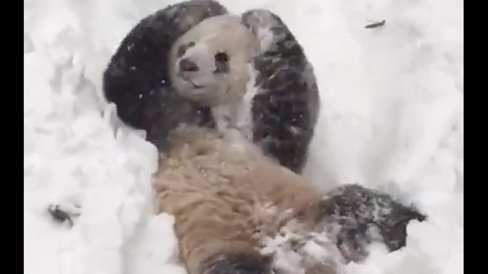 Daily smile 11 29 22