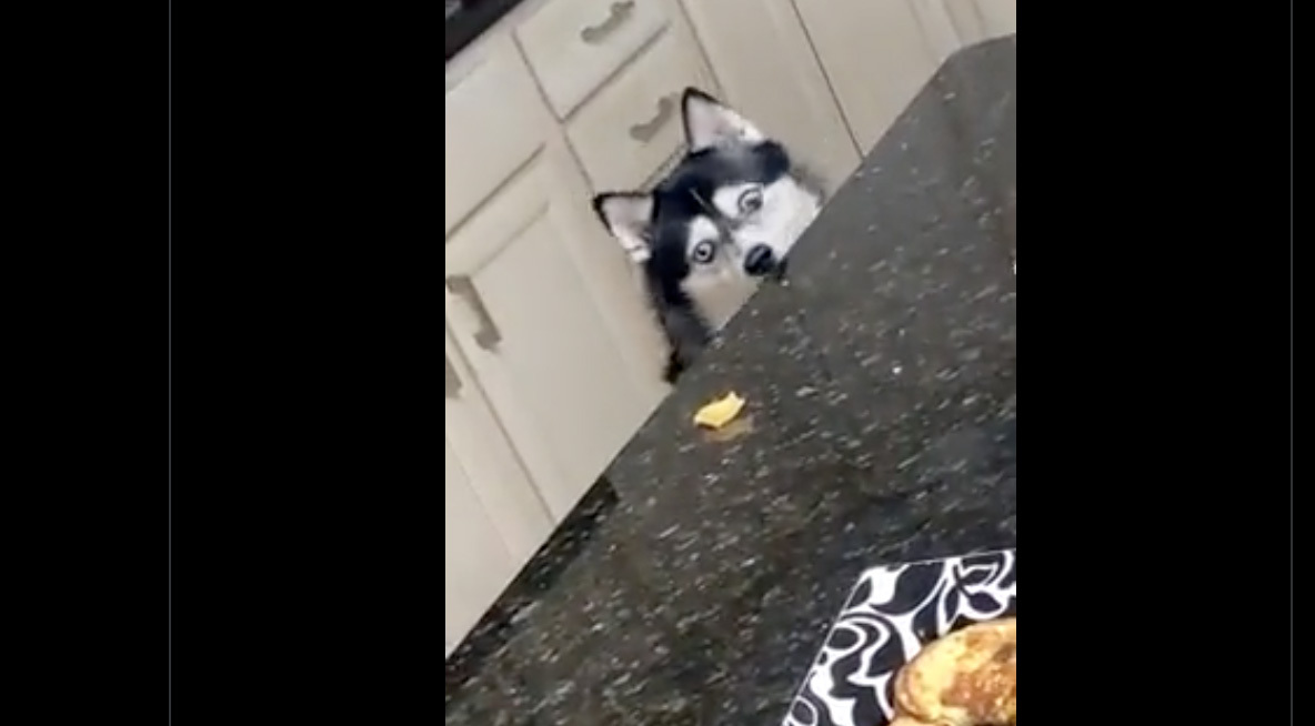 Daily smile 11 7 22 no play